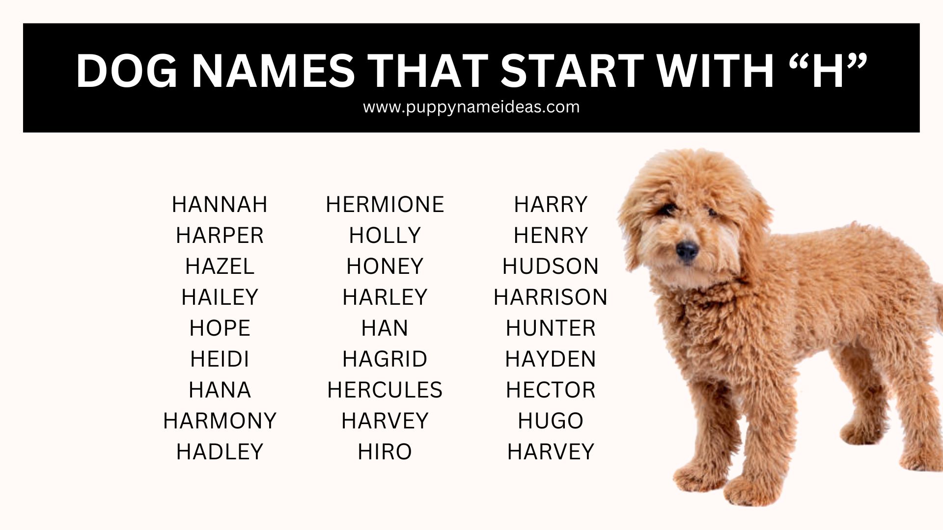 list of dog names that start with H