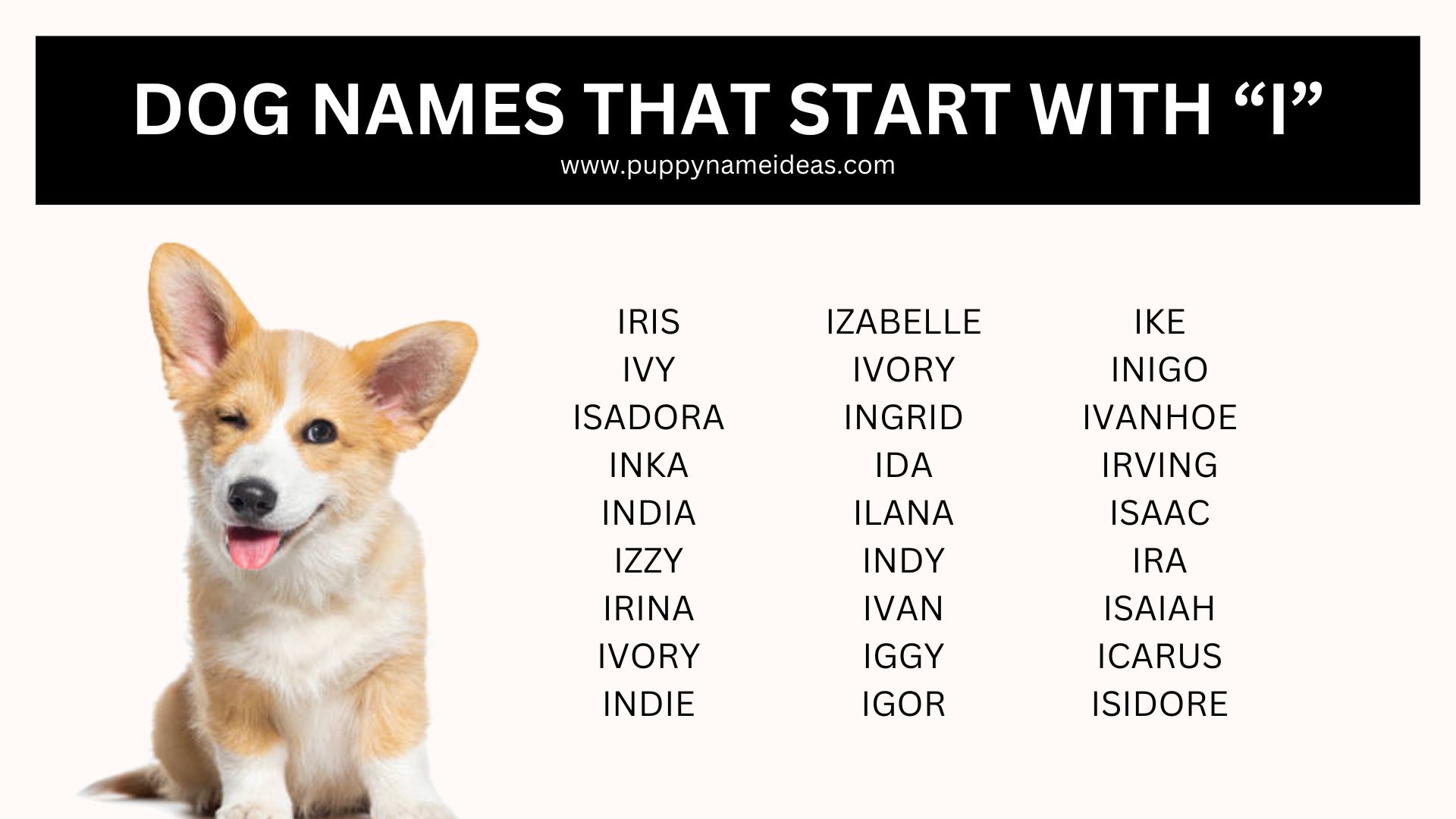 list of dog names that start with I