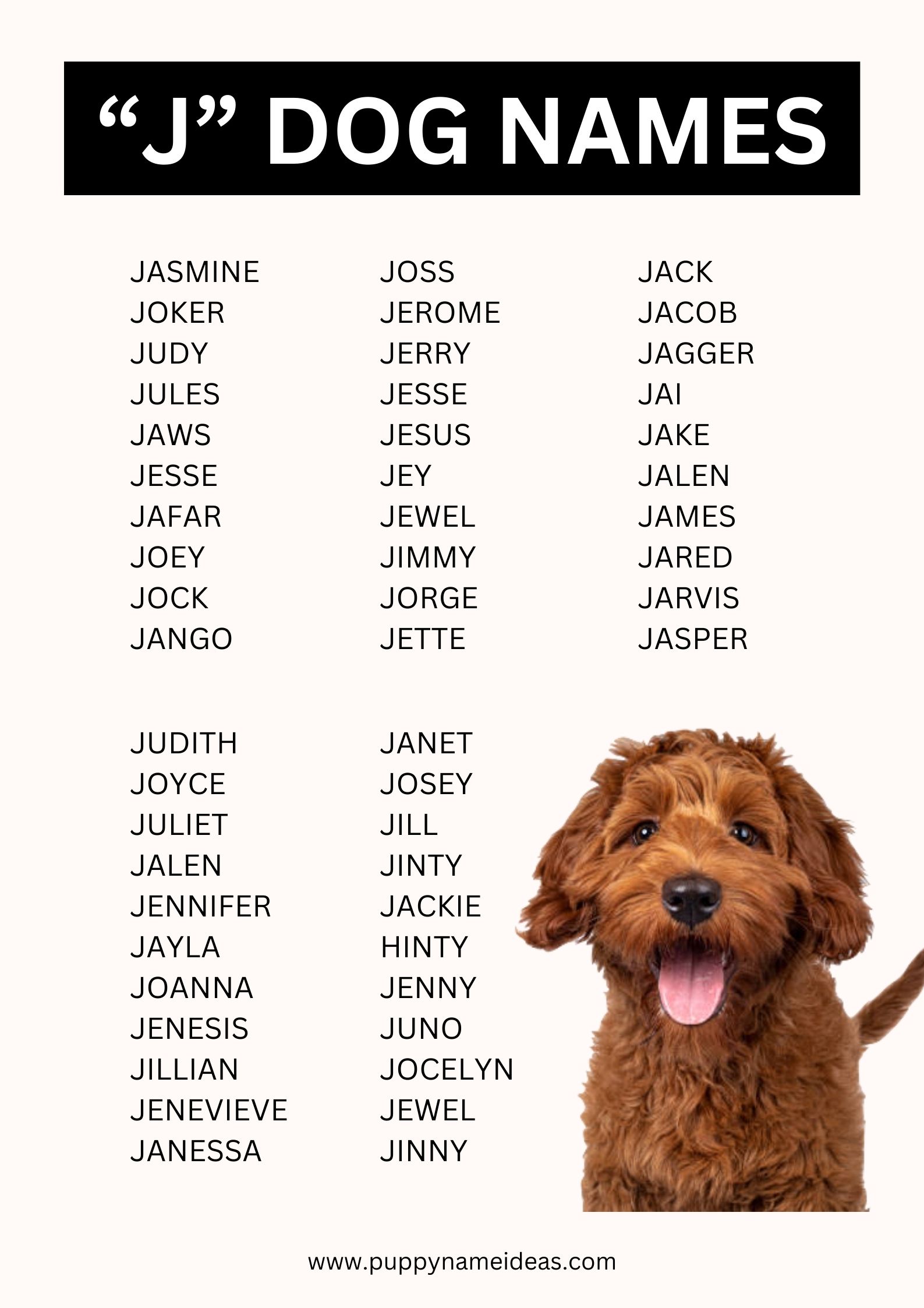 list of dog names that start with J