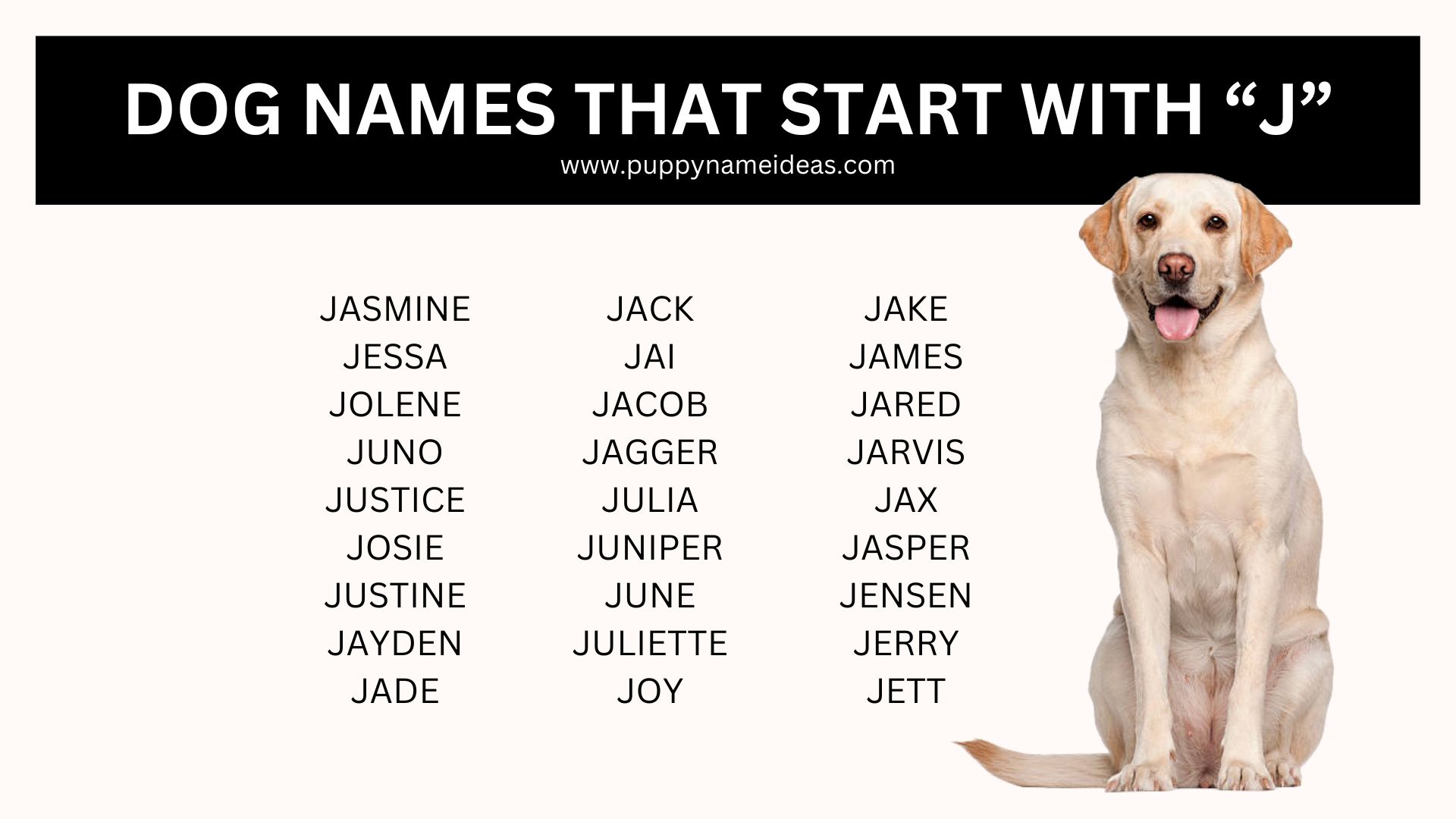 Dog Names That Start With J
