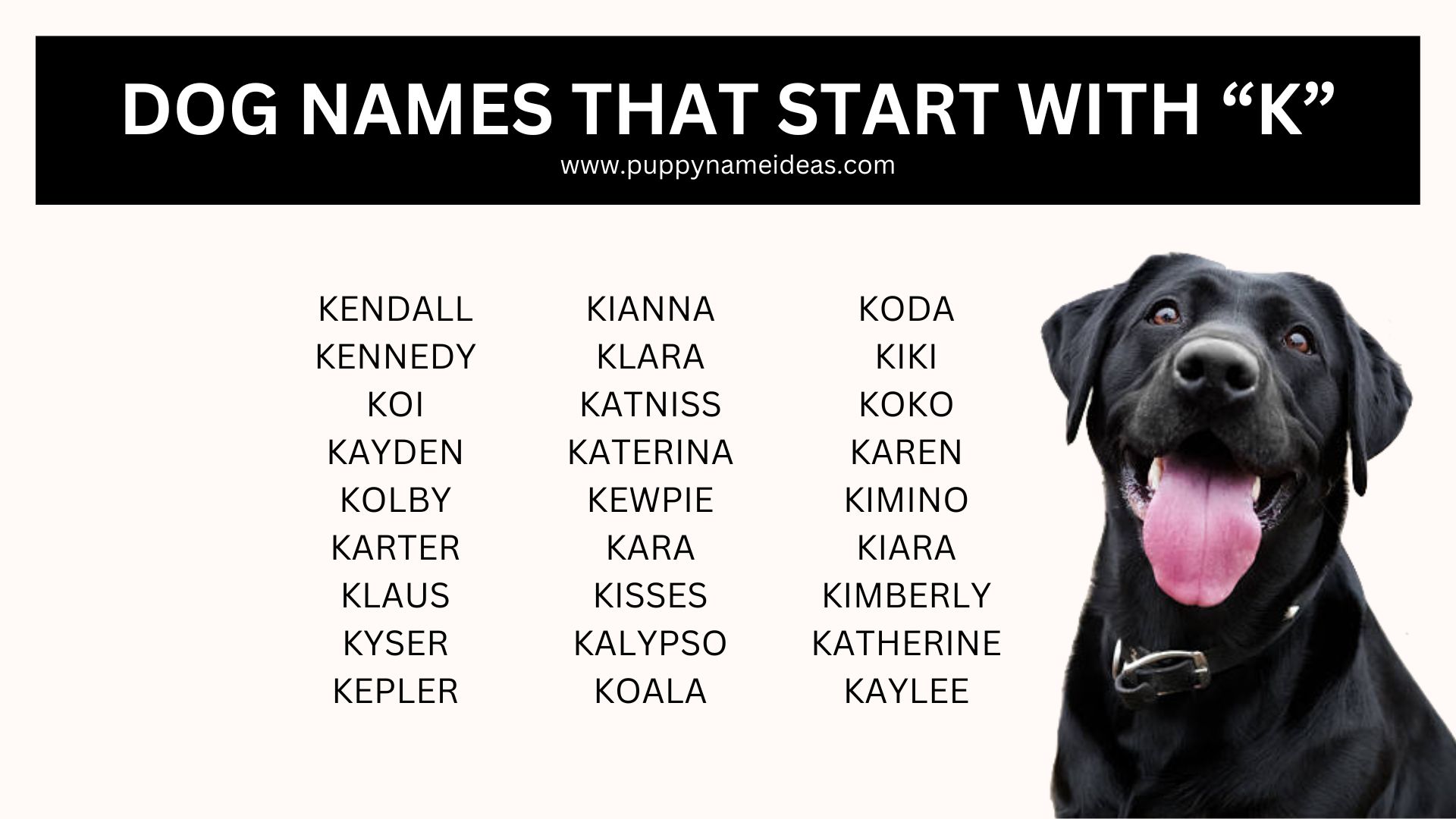list of dog names that start with K
