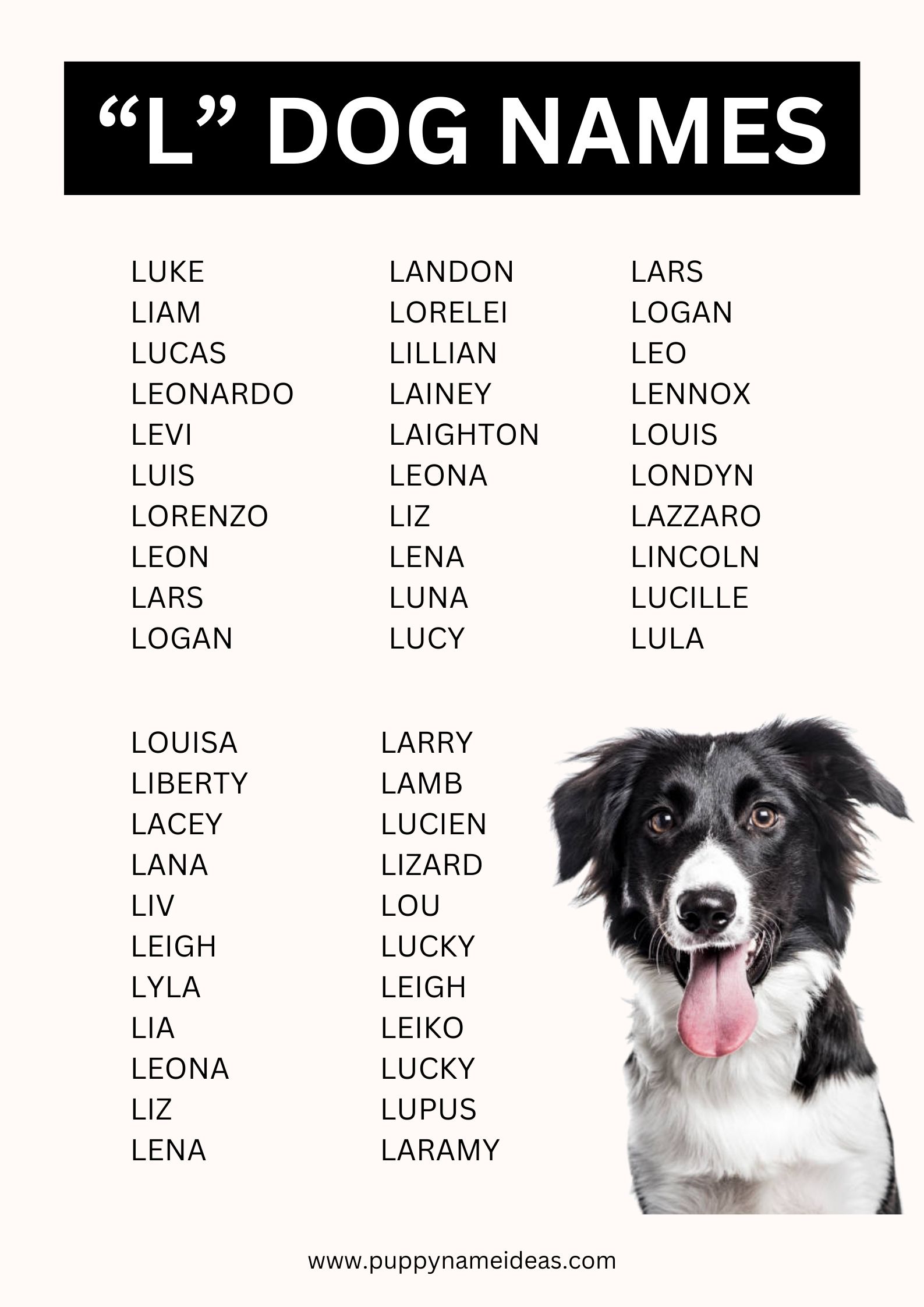 list of dog names that start with L