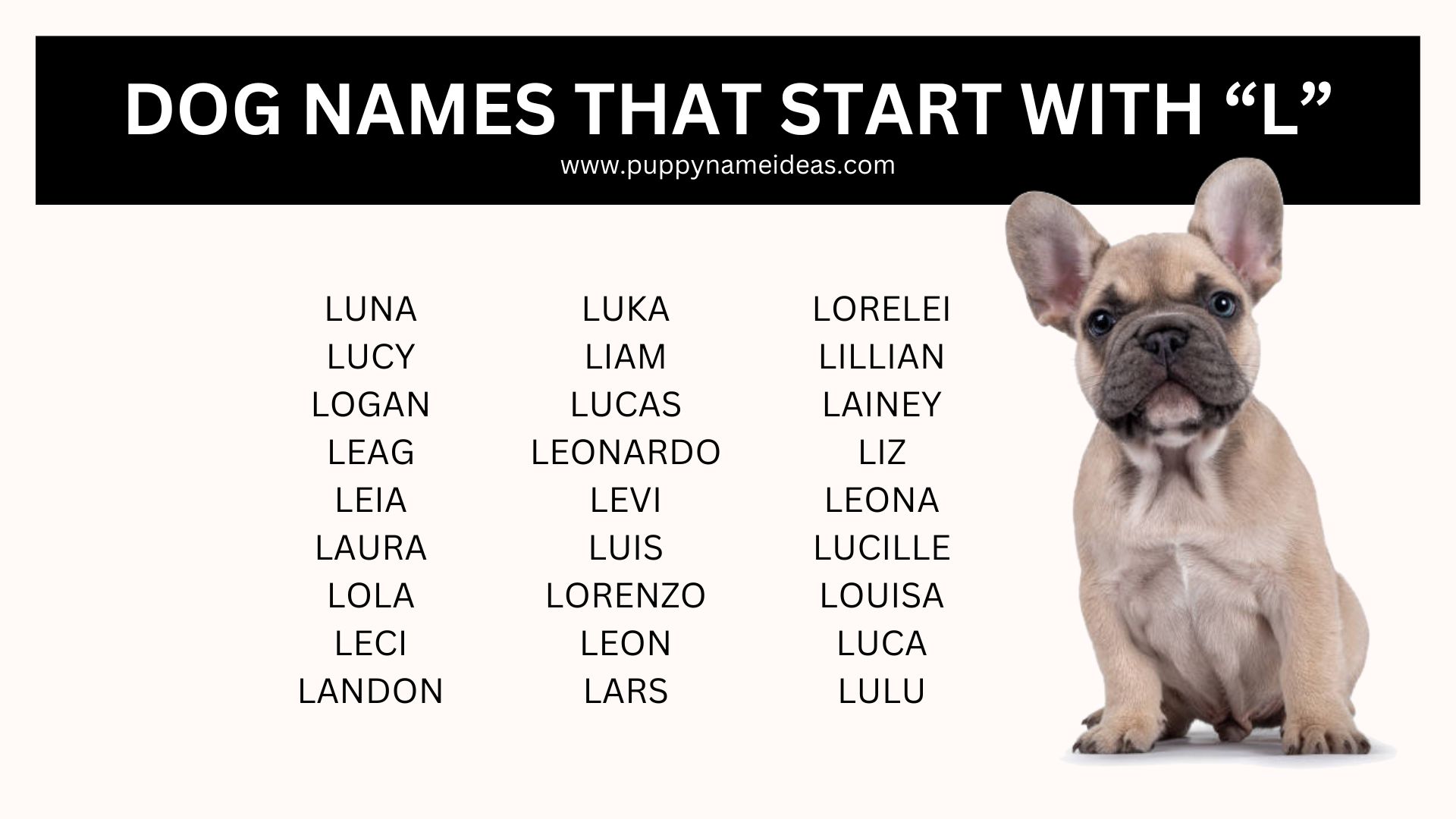 Dog Names That Start With L