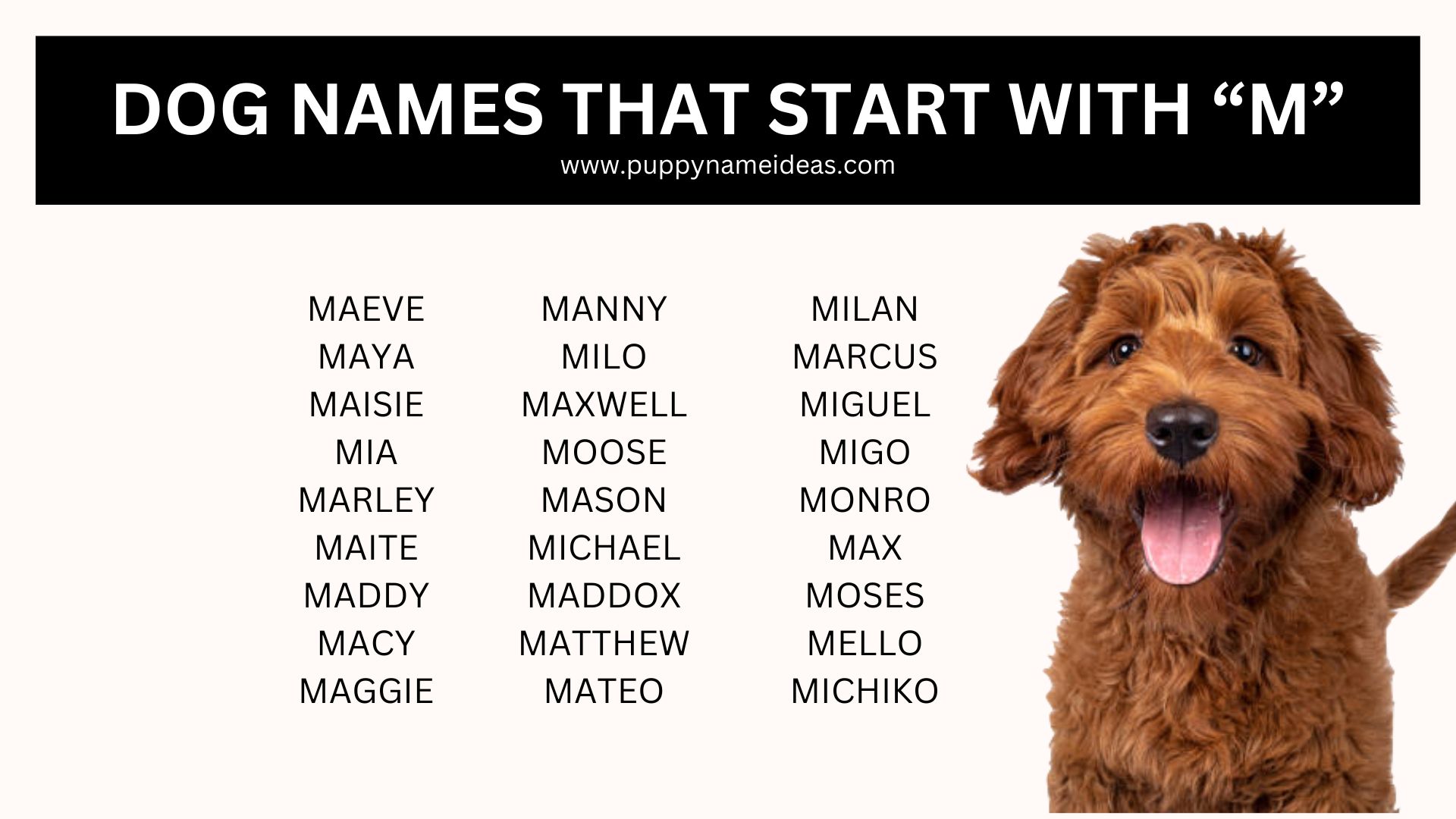list of dog names that start with M