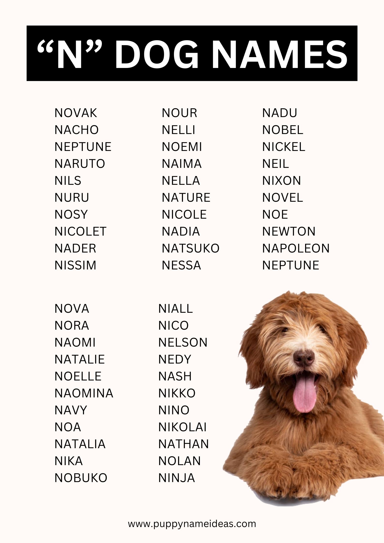 List Of Dog Names That Start With N