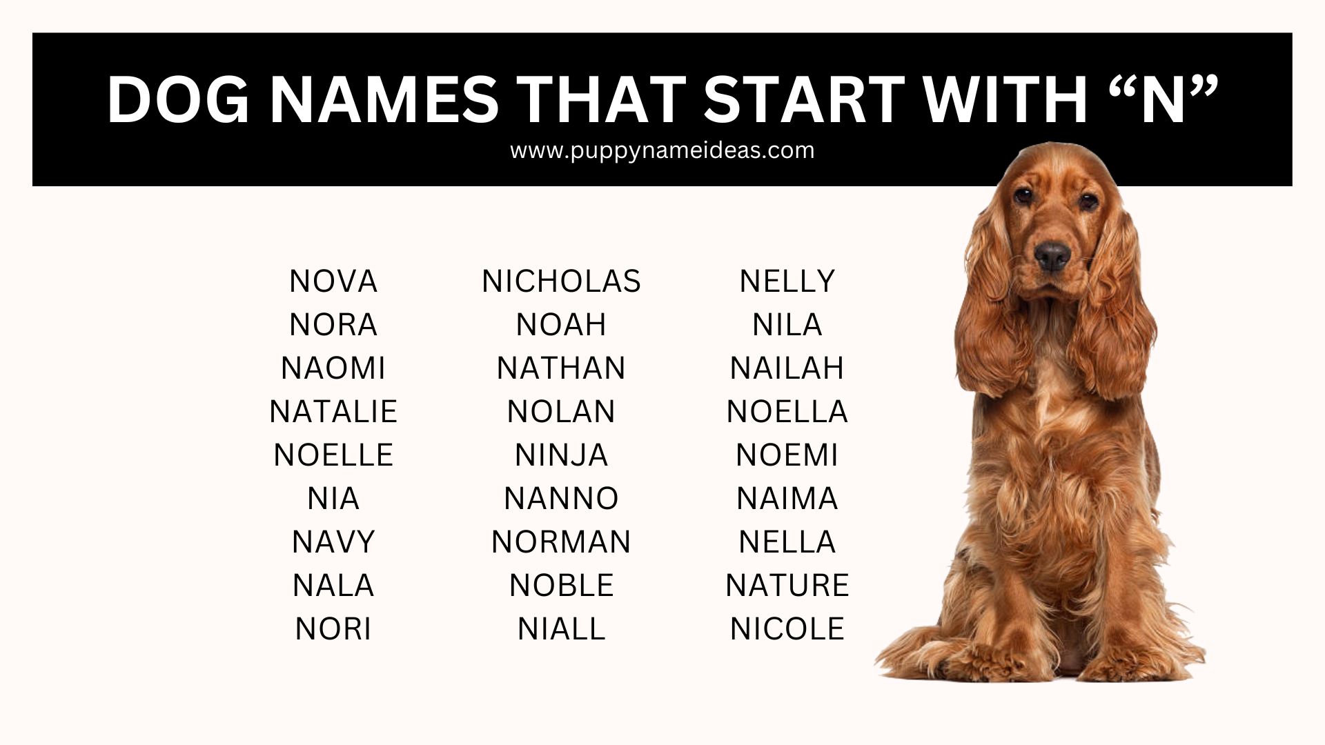 list of dog names that start with N