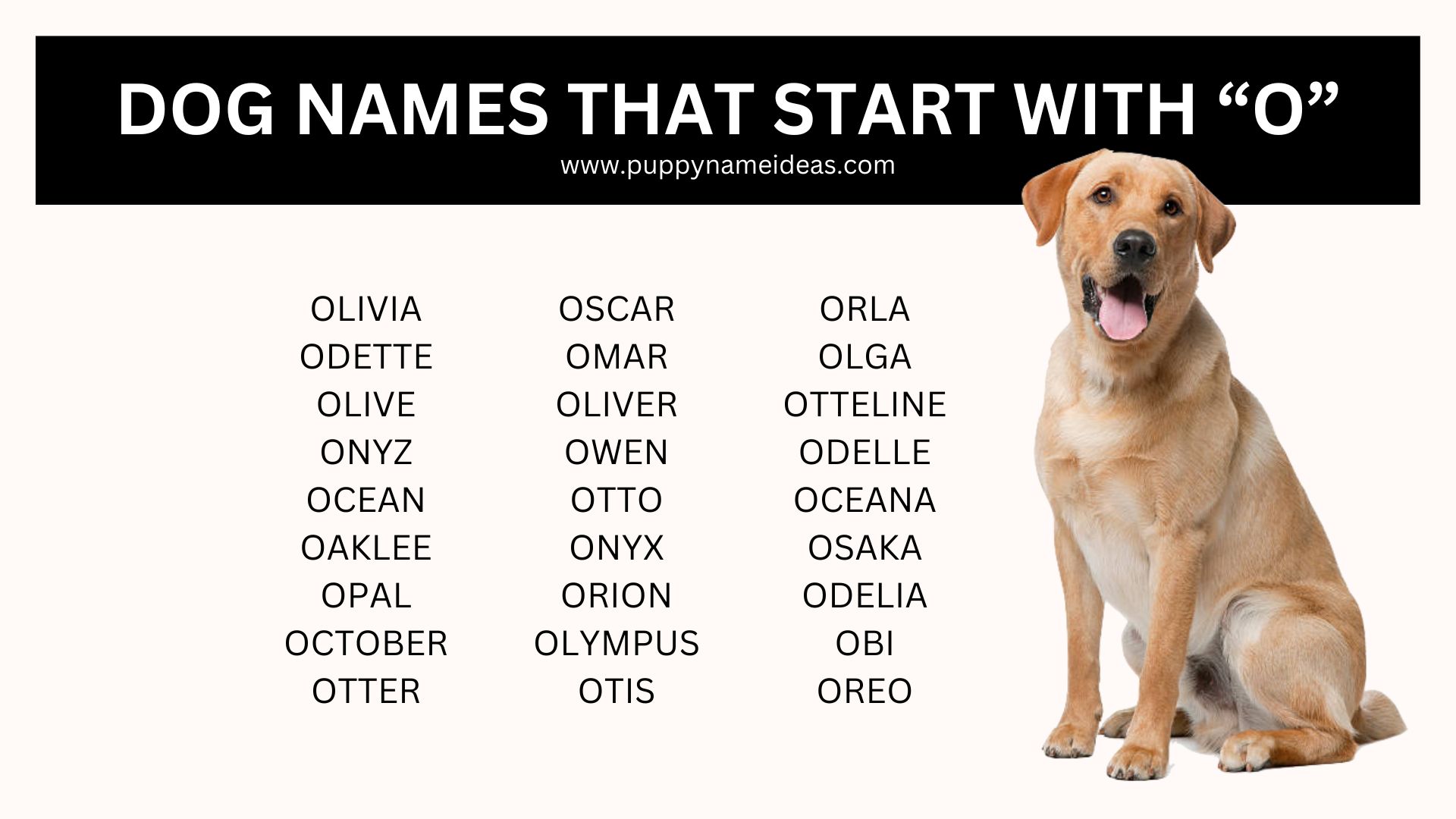 list of dog names that start with O