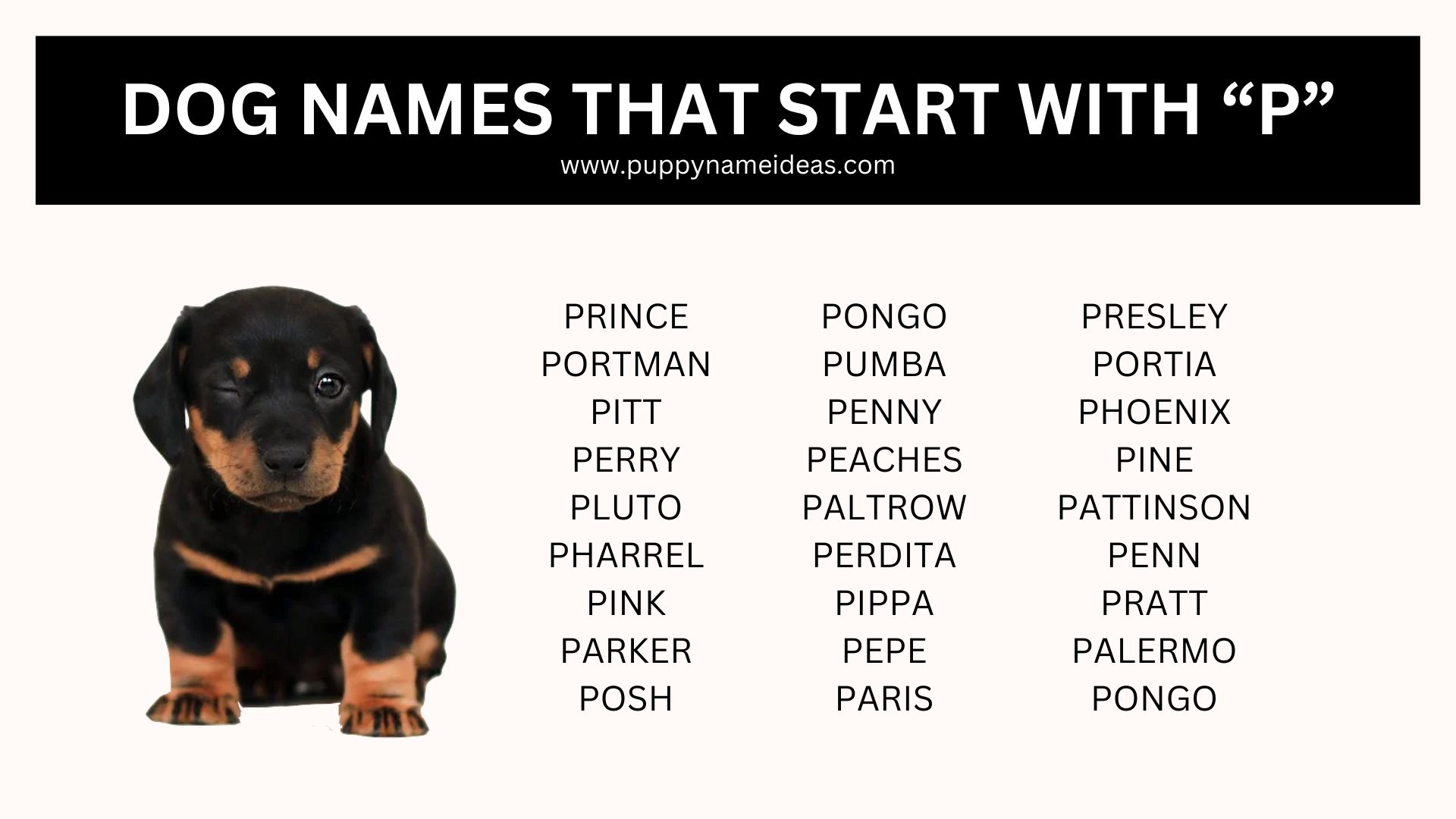 list of dog names that start with P