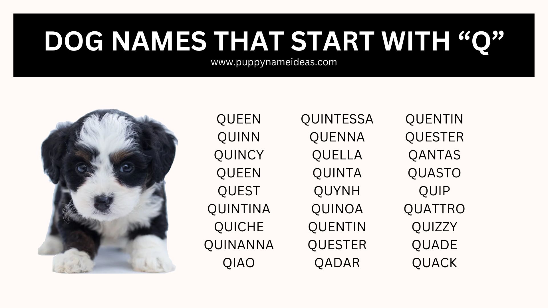 List of dog names that start with Q