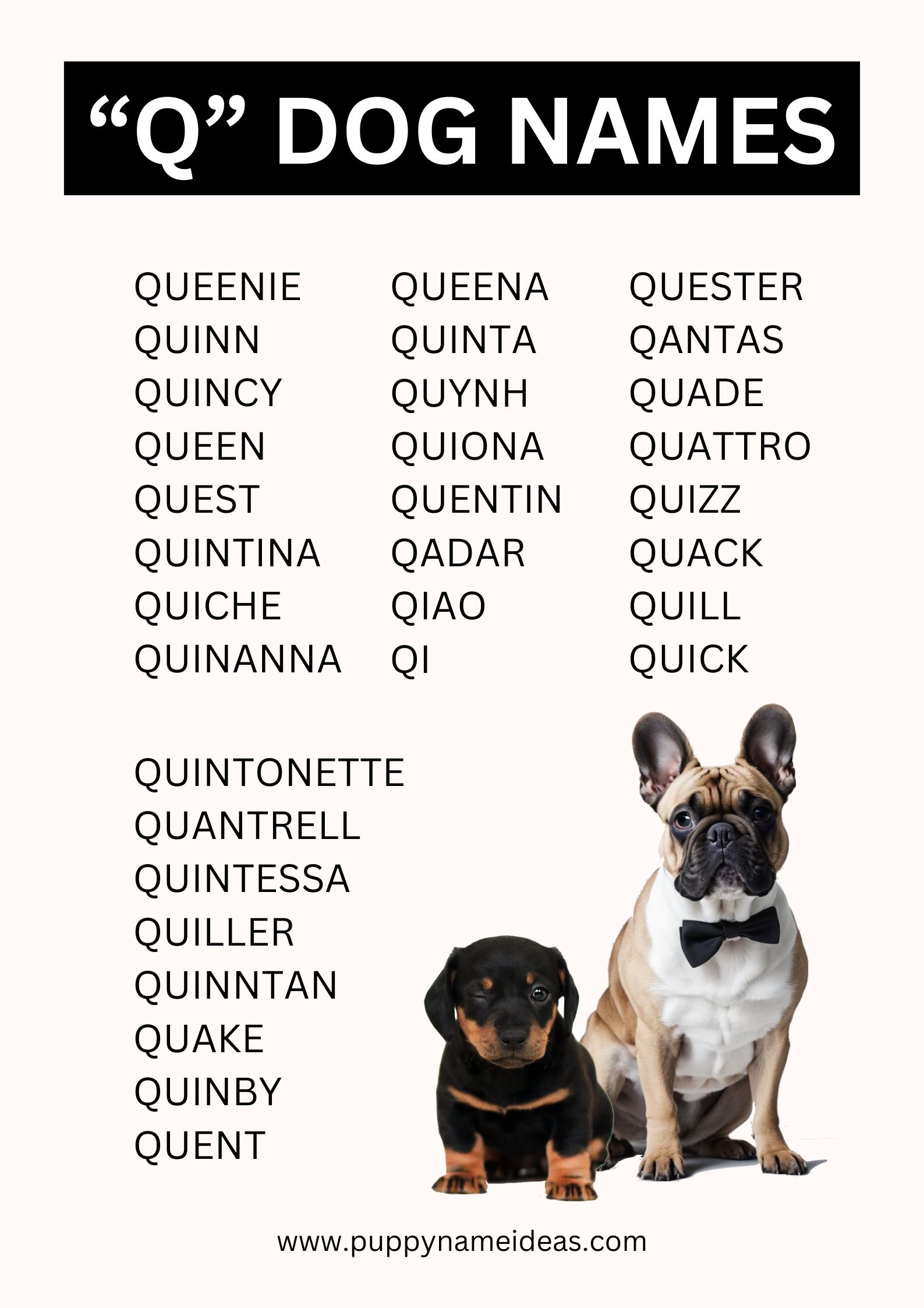 List Of Dog Names That Start With Q