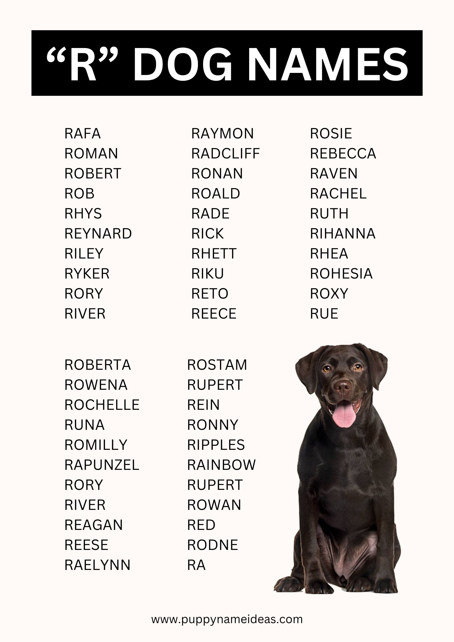 List Of Dog Names That Start With R