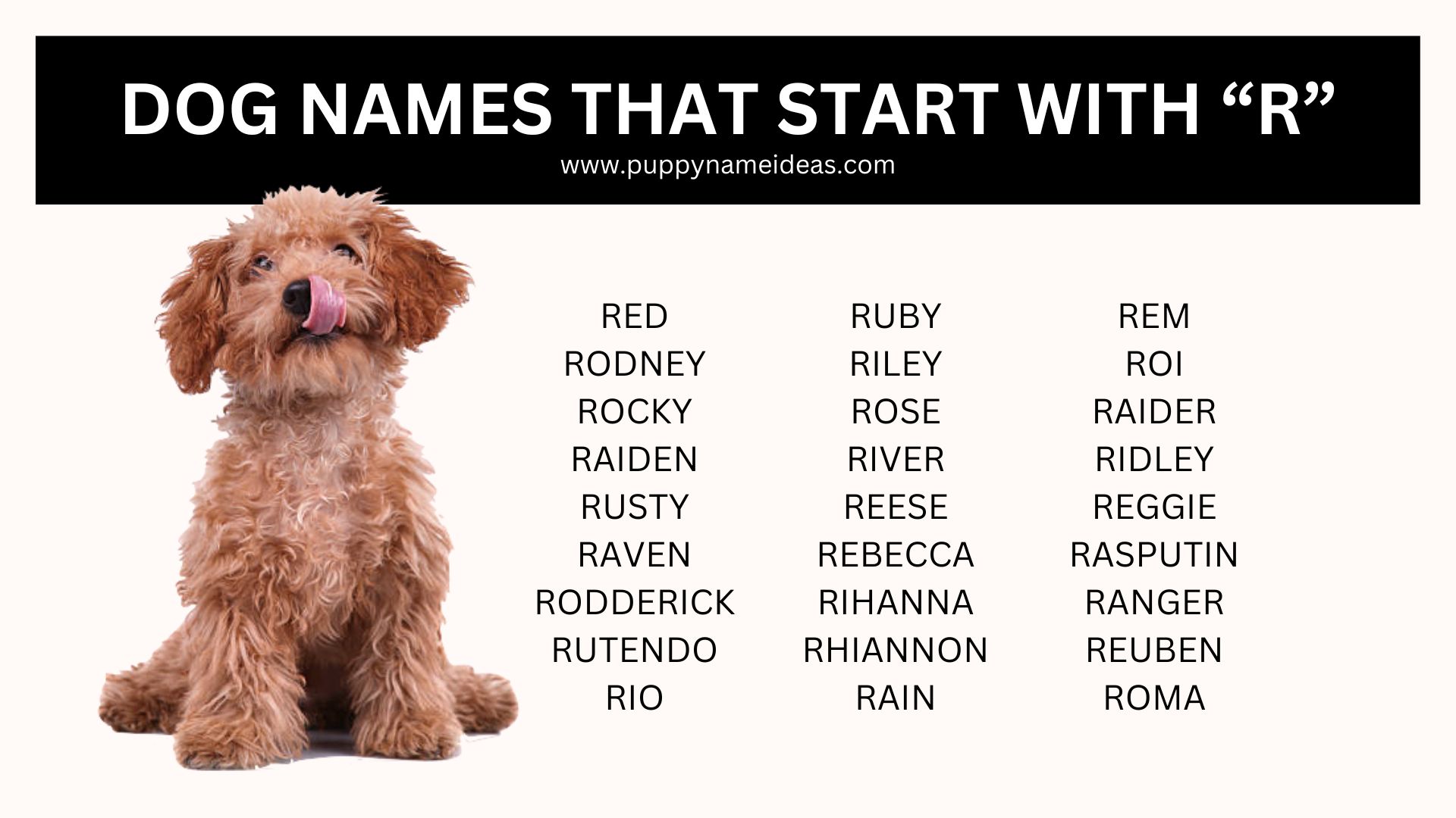 list of dog names that start with R