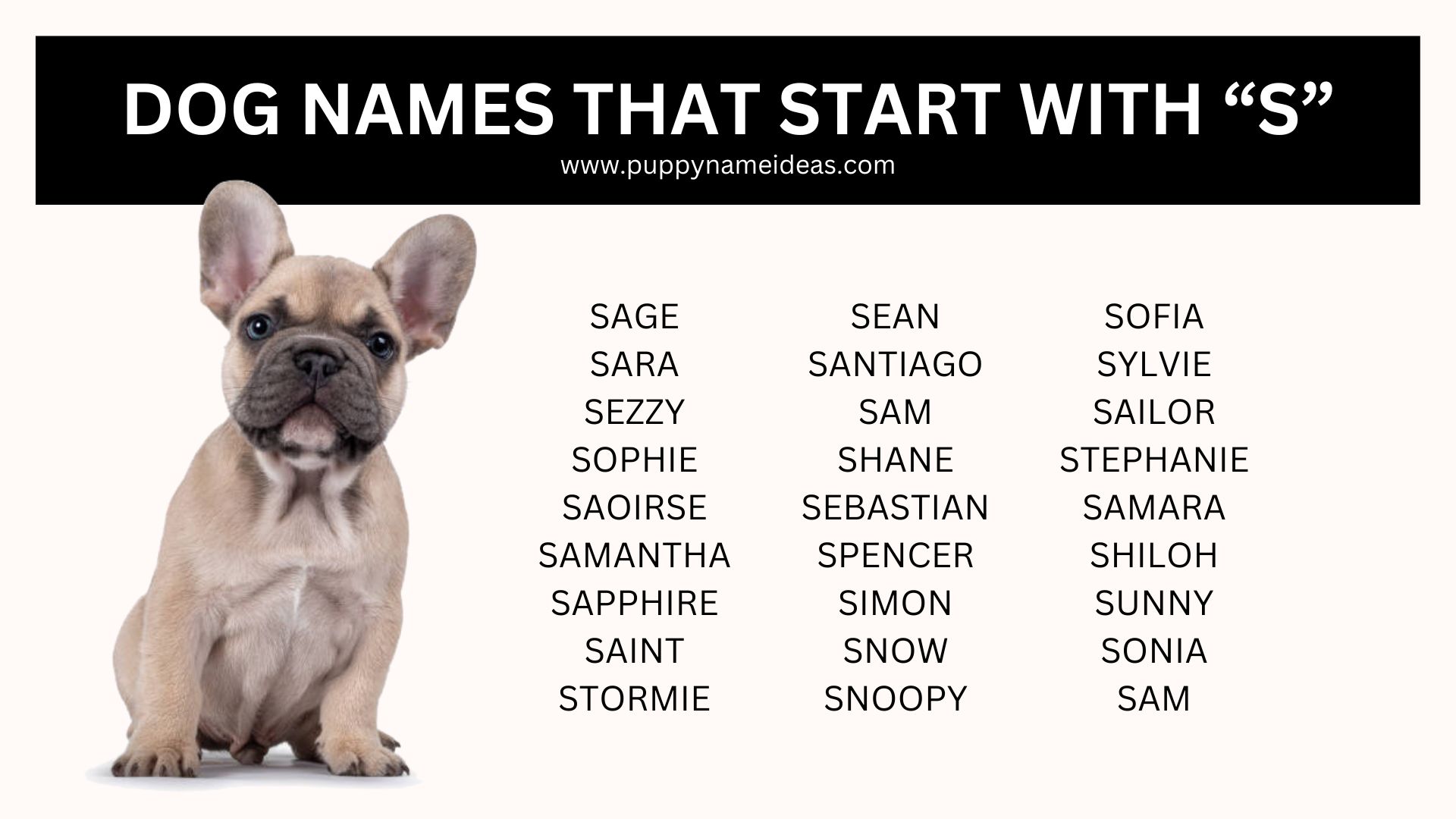 list of dog names that start with S