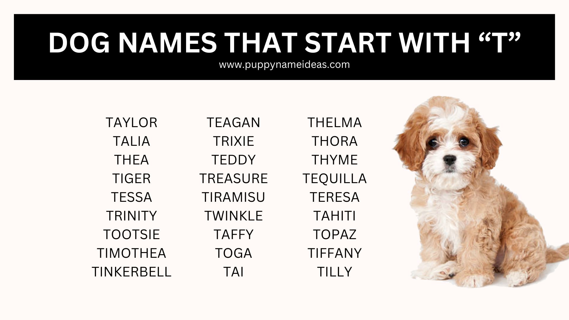 list of dog names that start with T