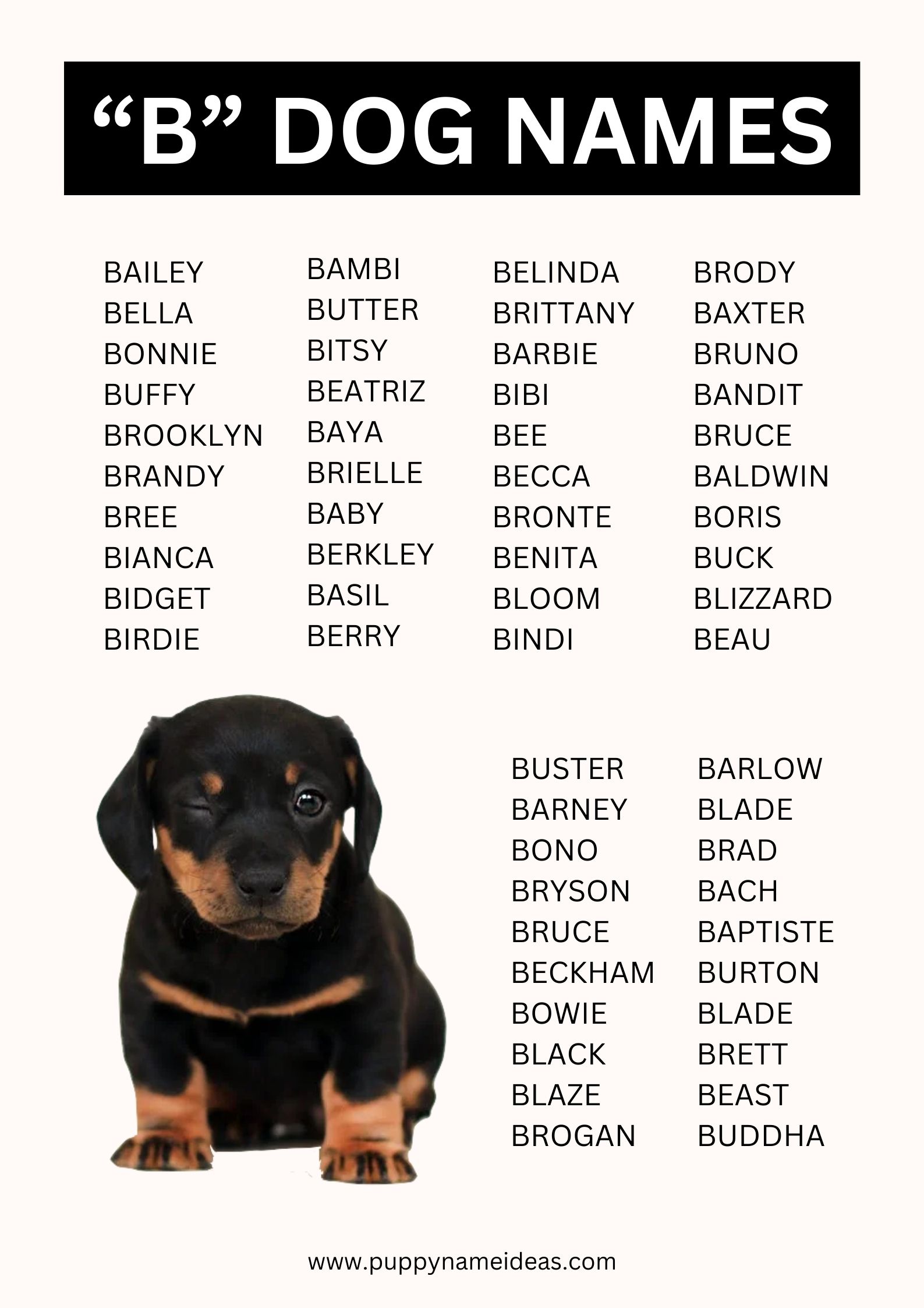 list of dog names that start with B
