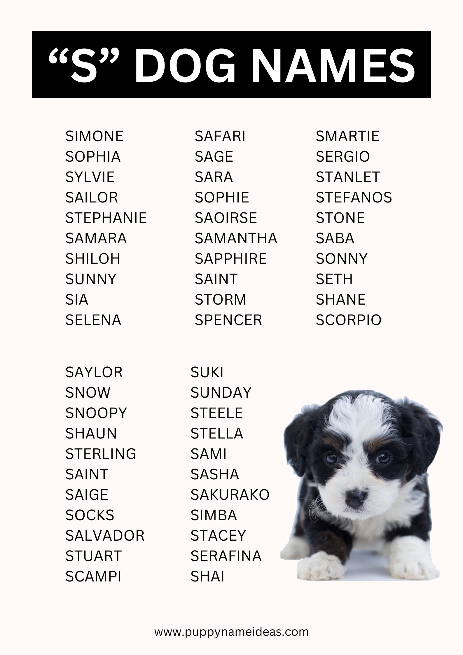 List Of Dog Names That Start With S