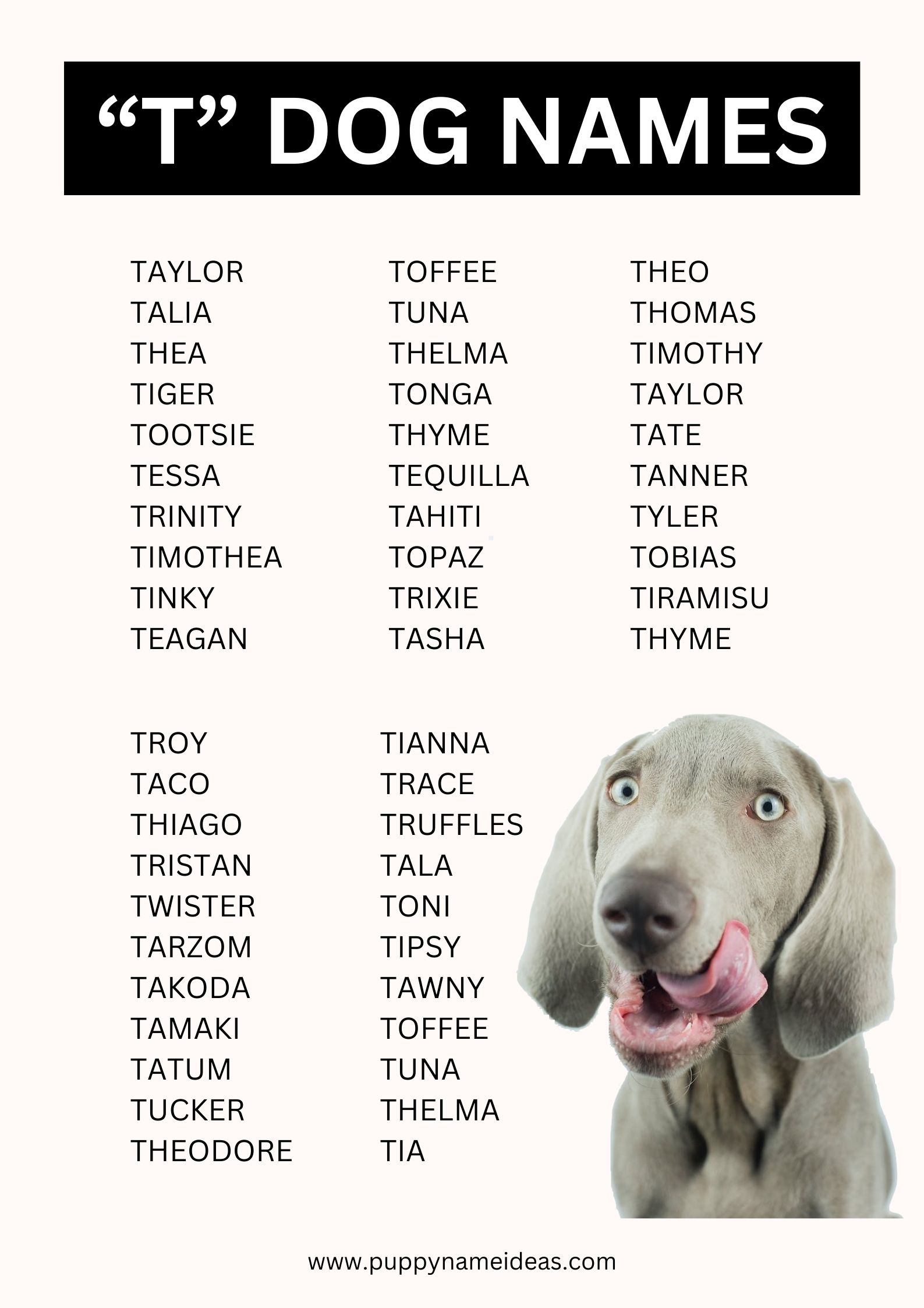 List Of Dog Names That Start With T