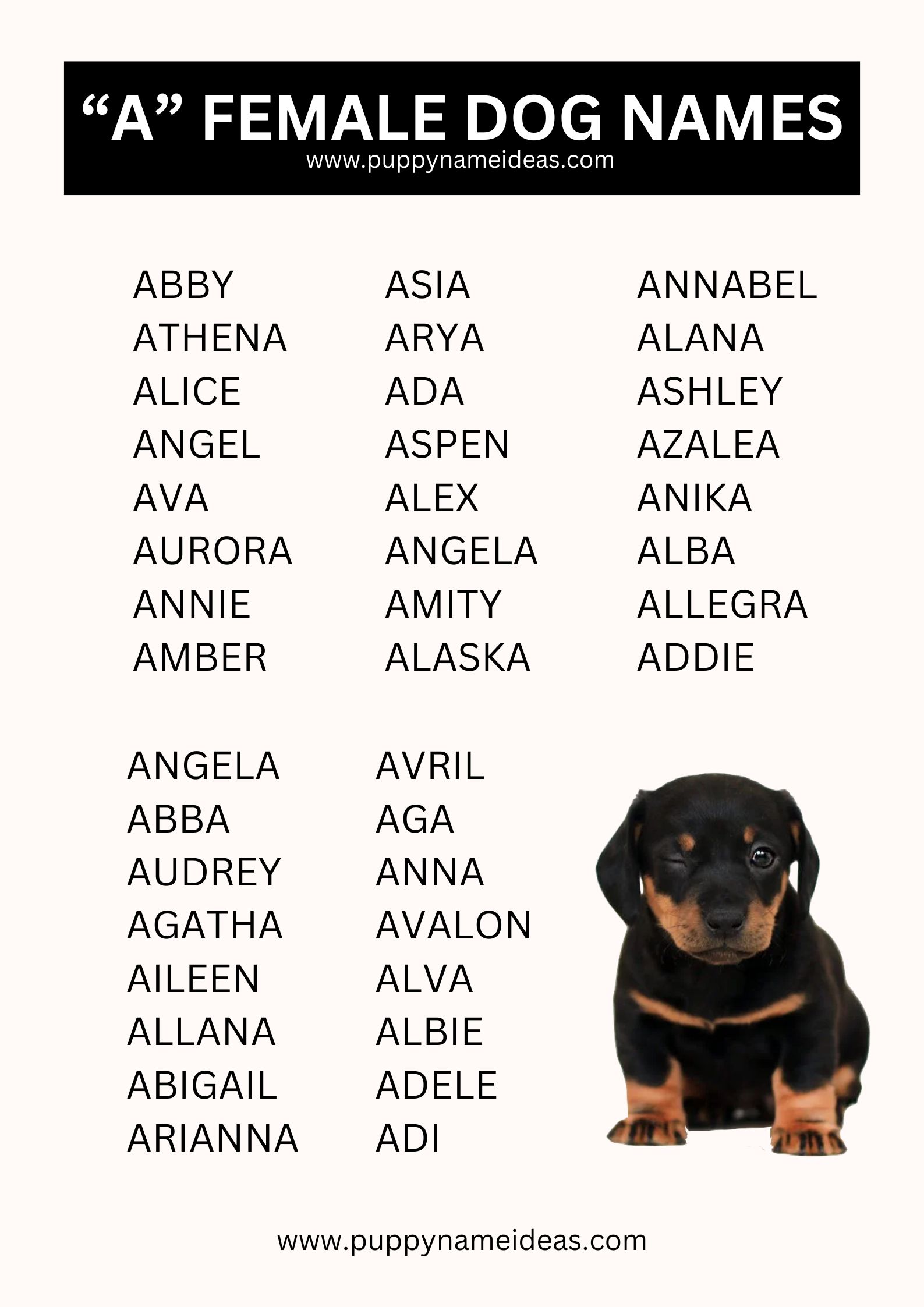 list of girl dog names that start with A