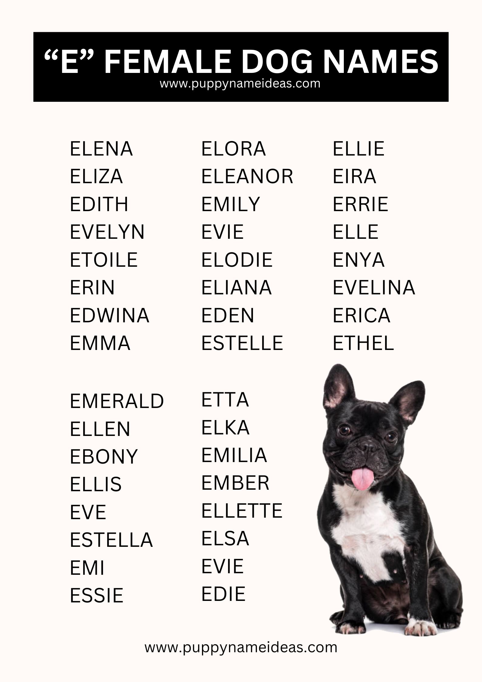 list of girl dog names that start with E