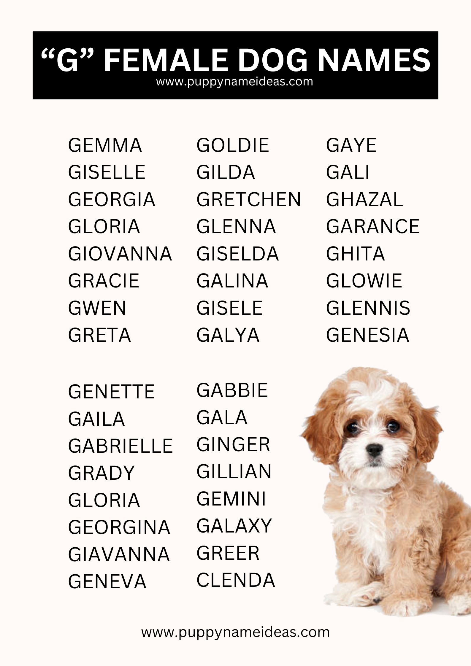 List Of Girl Dog Names That Start With G
