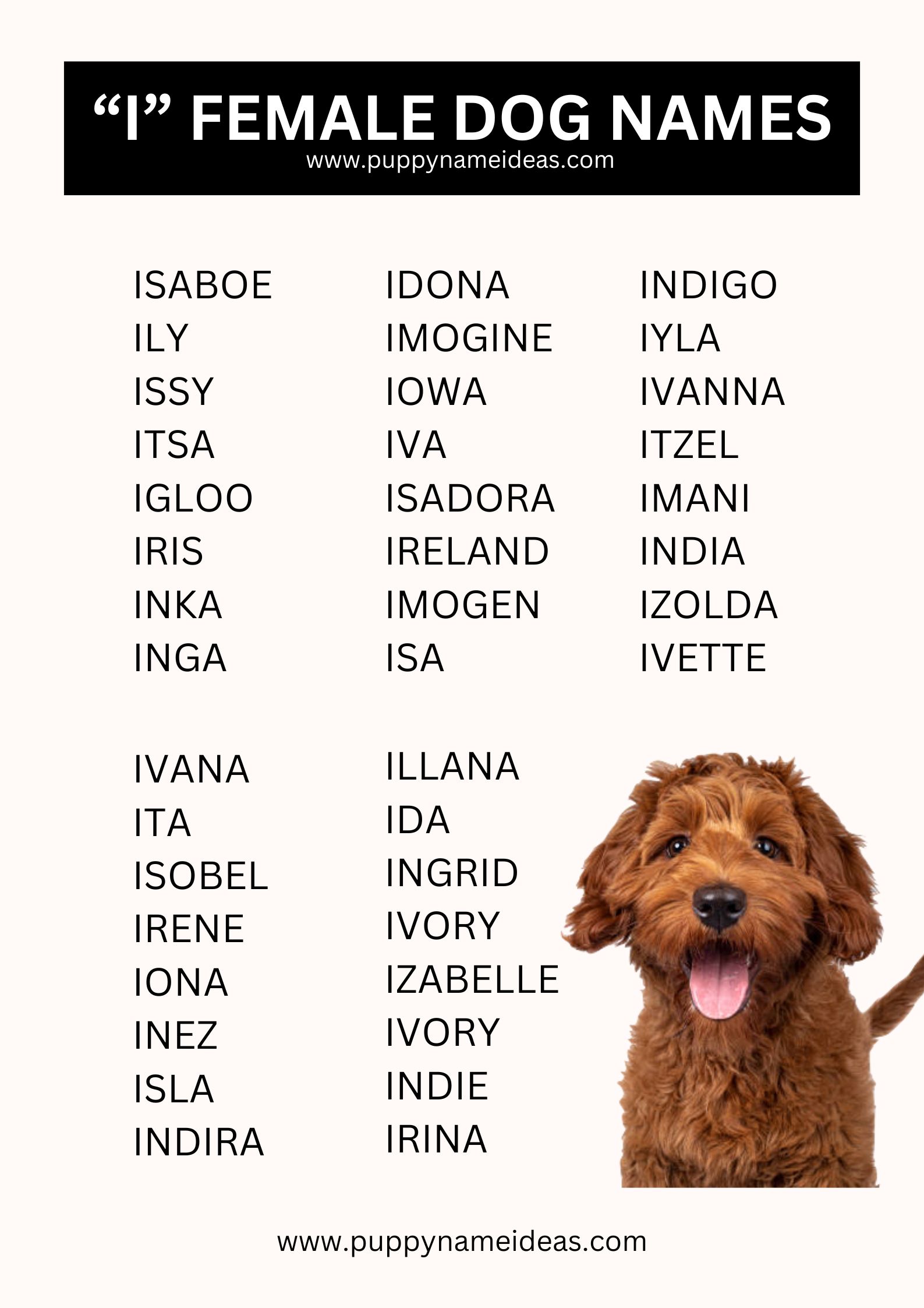list of girl dog names that start with I