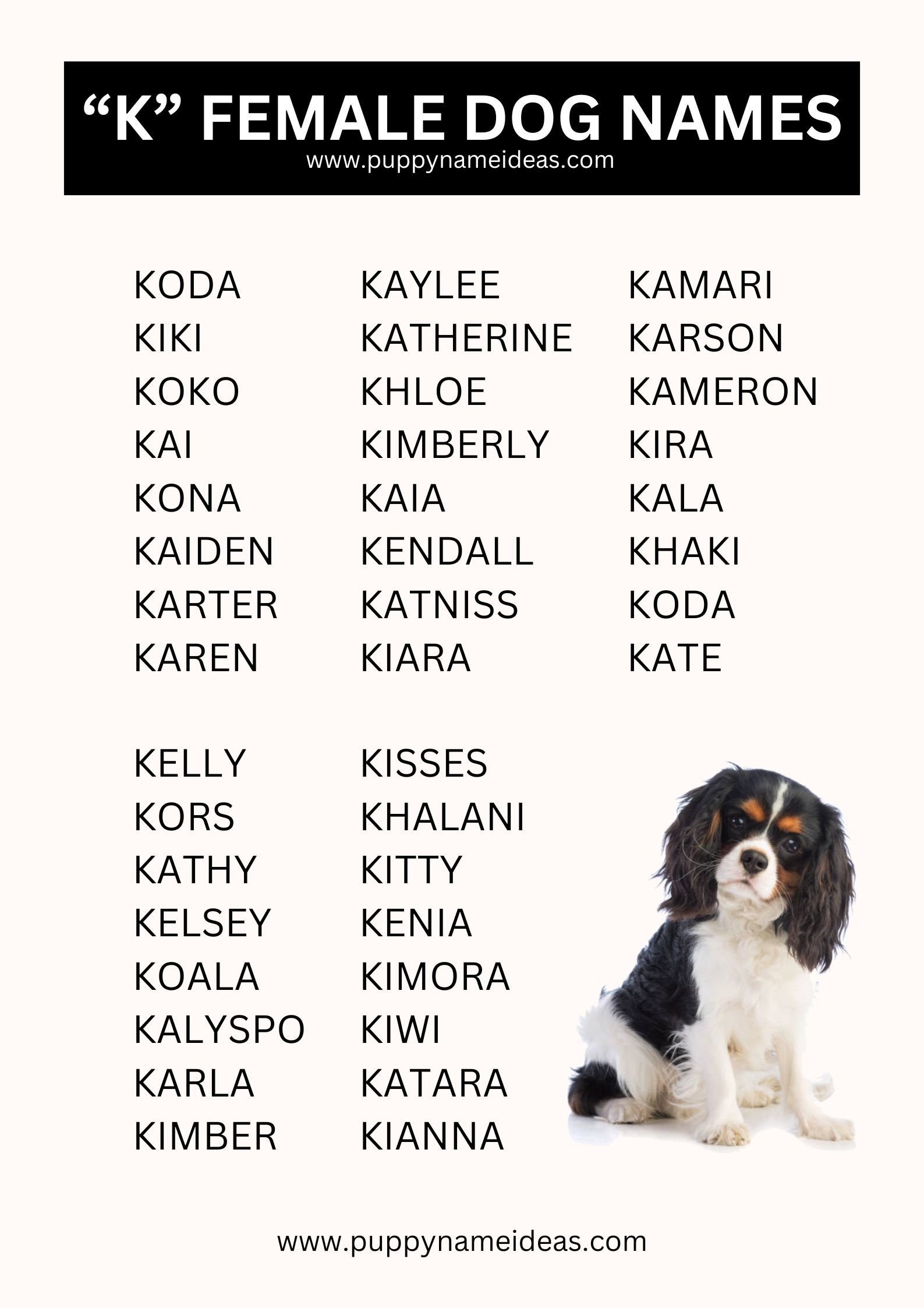 List Of Girl Dog Names That Start With K