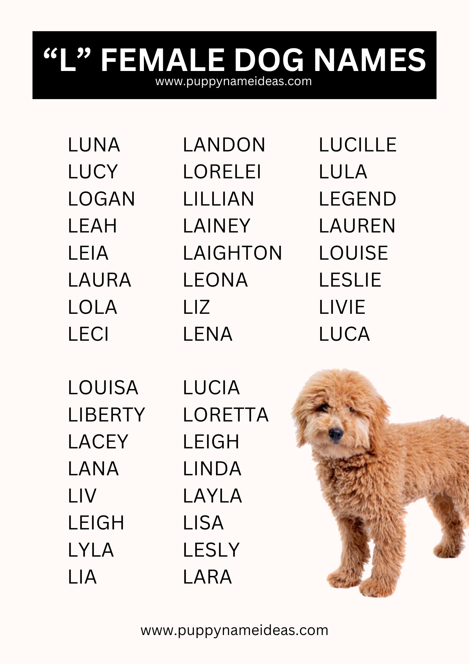 List Of Girl Dog Names That Start With L