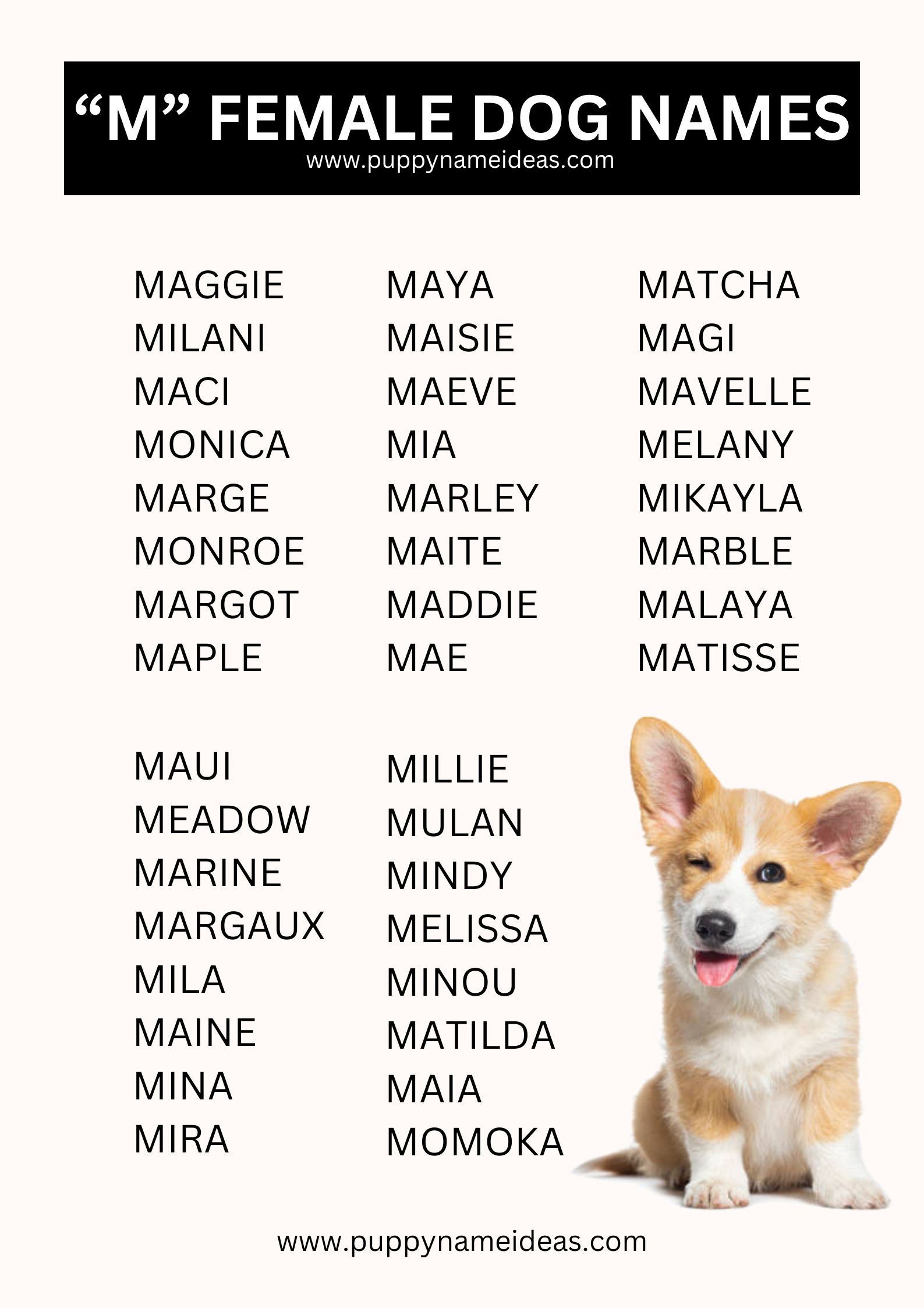 List Of Girl Dog Names That Start With M
