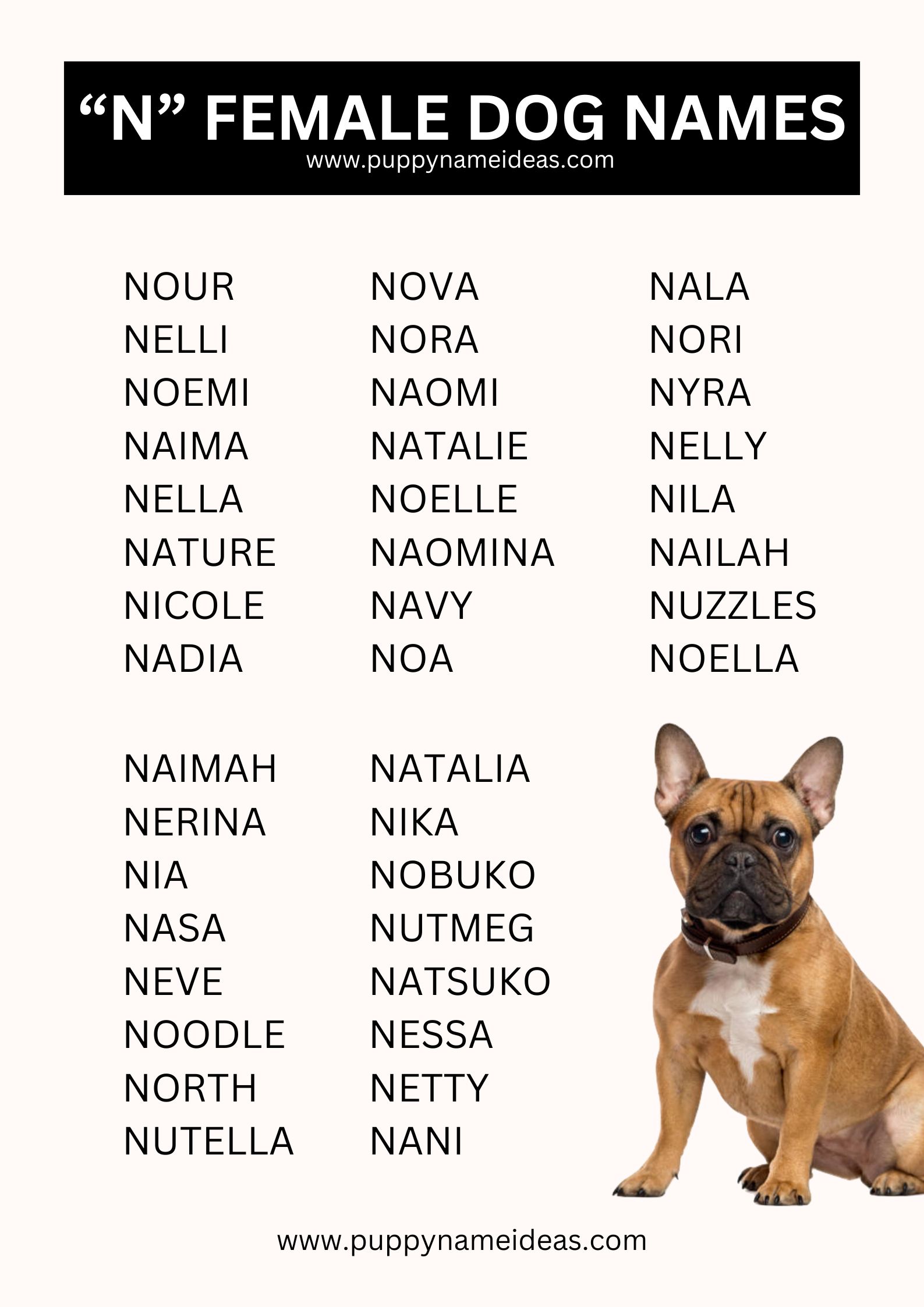 List Of Girl Dog Names That Start With N