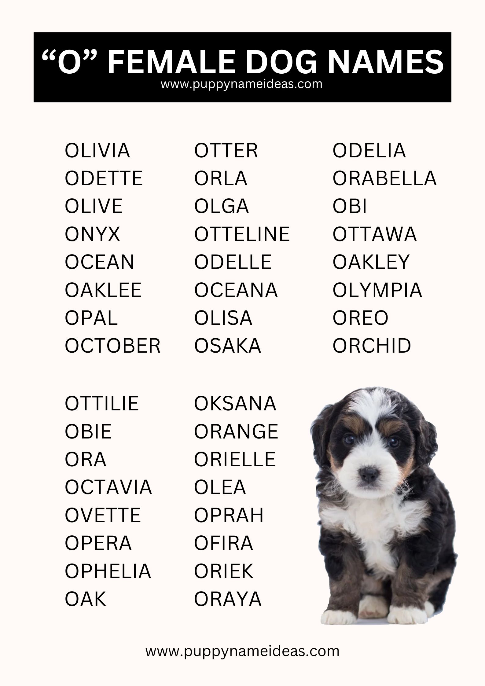 List Of Girl Dog Names That Start With O
