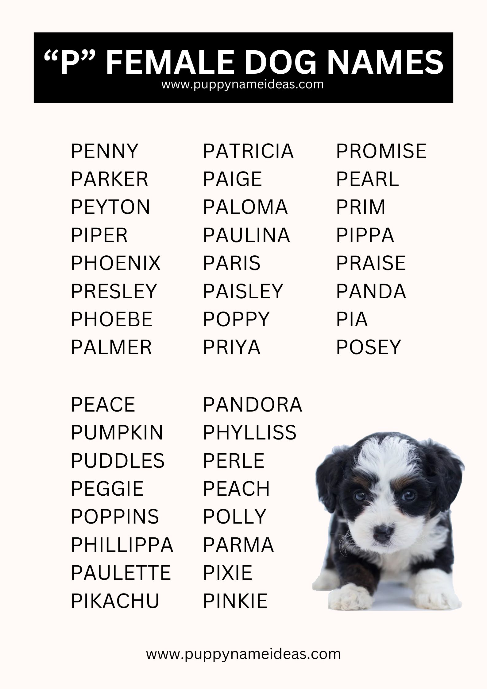 List Of Girl Dog Names That Start With P