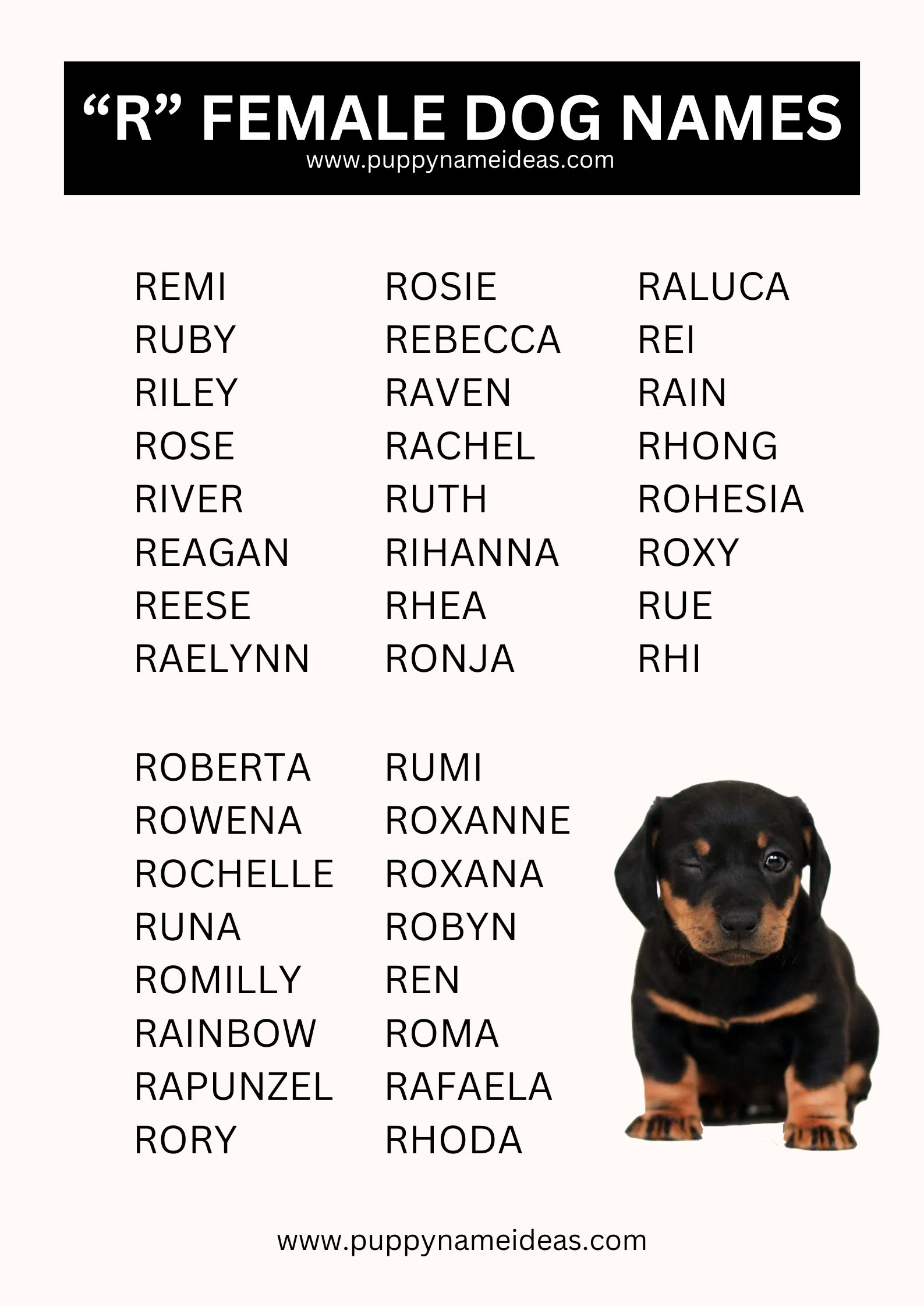 Girl Dog Names That Start With R