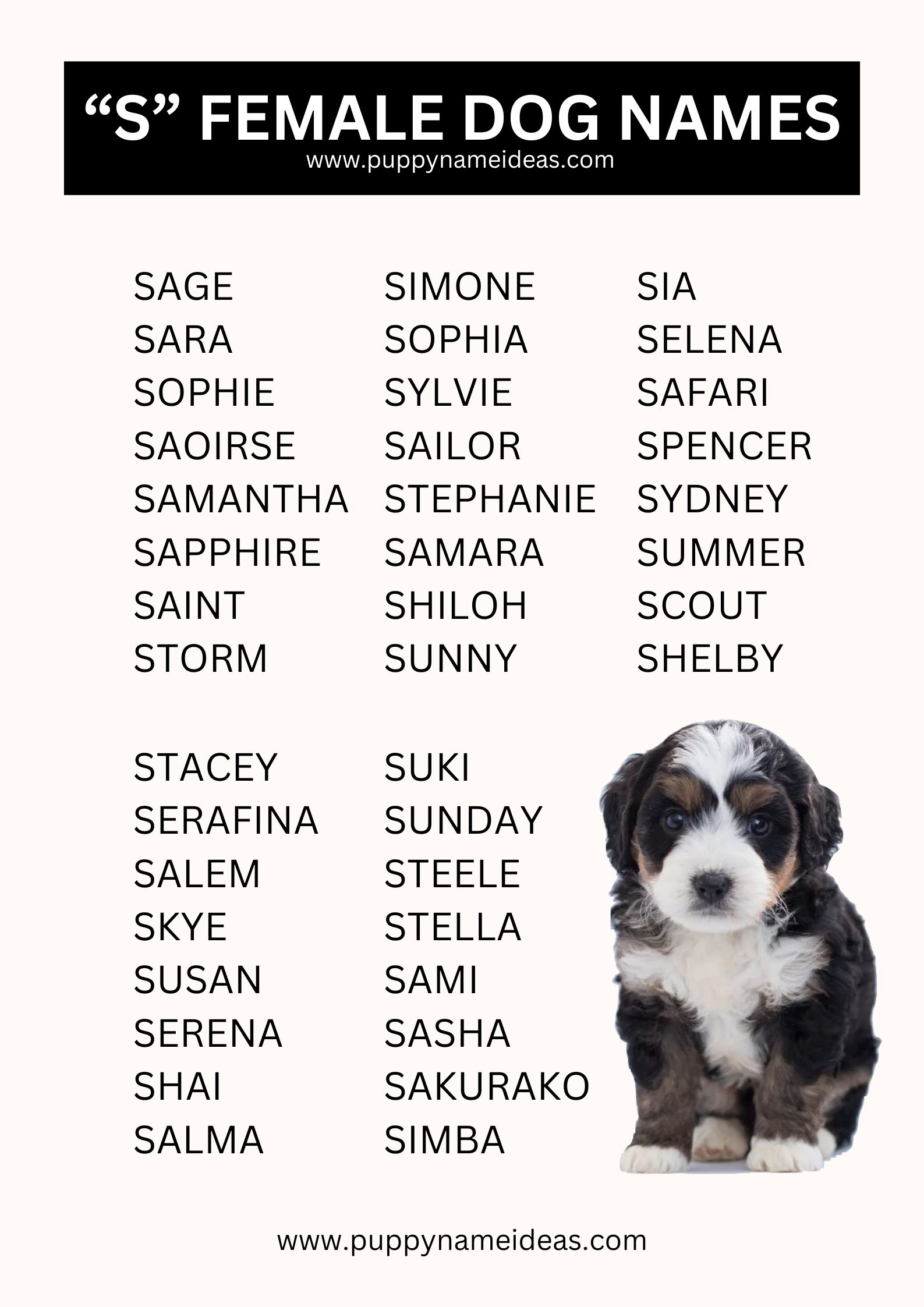 List Of Girl Dog Names That Start With S