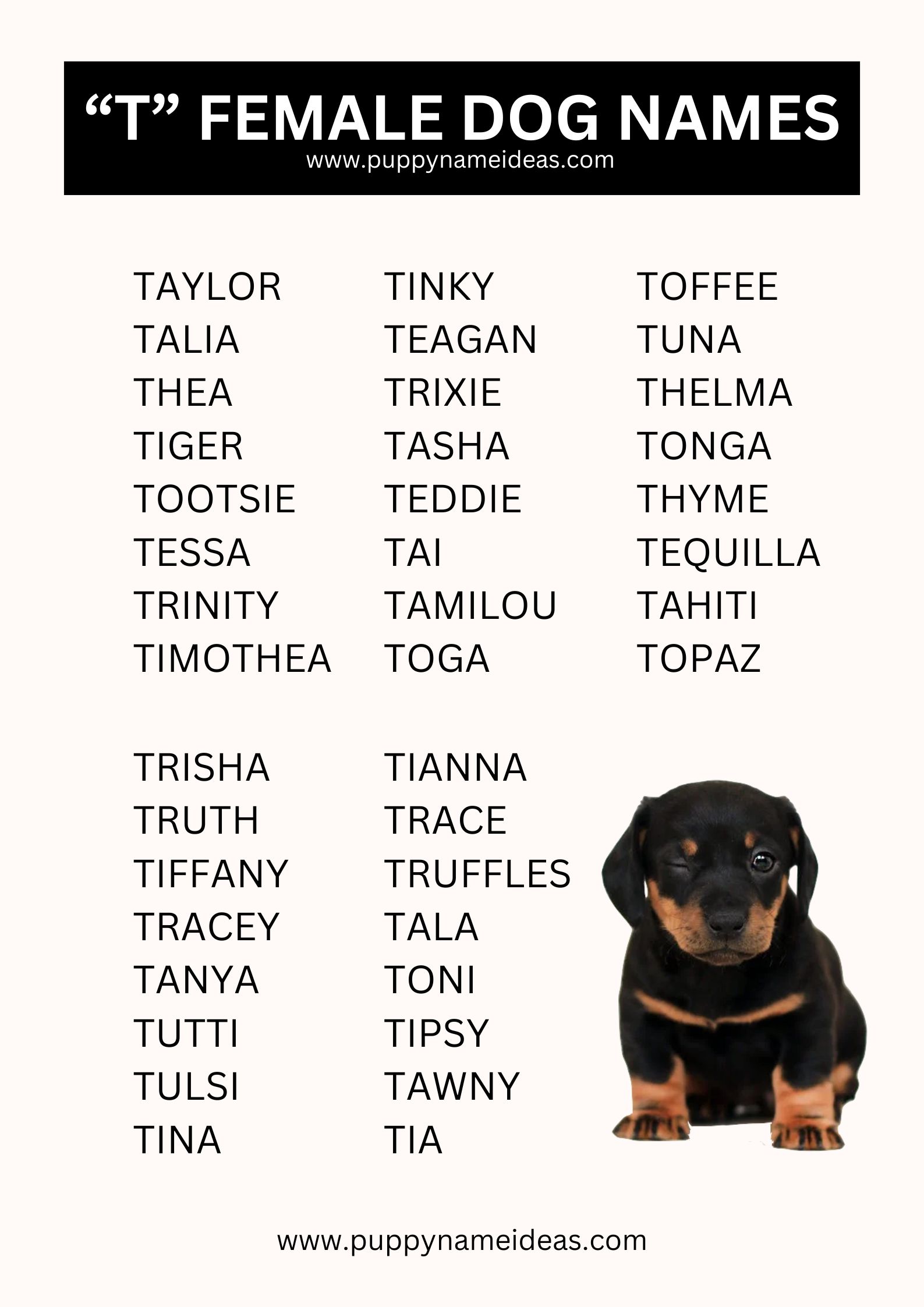 List Of Girl Dog Names That Start With T