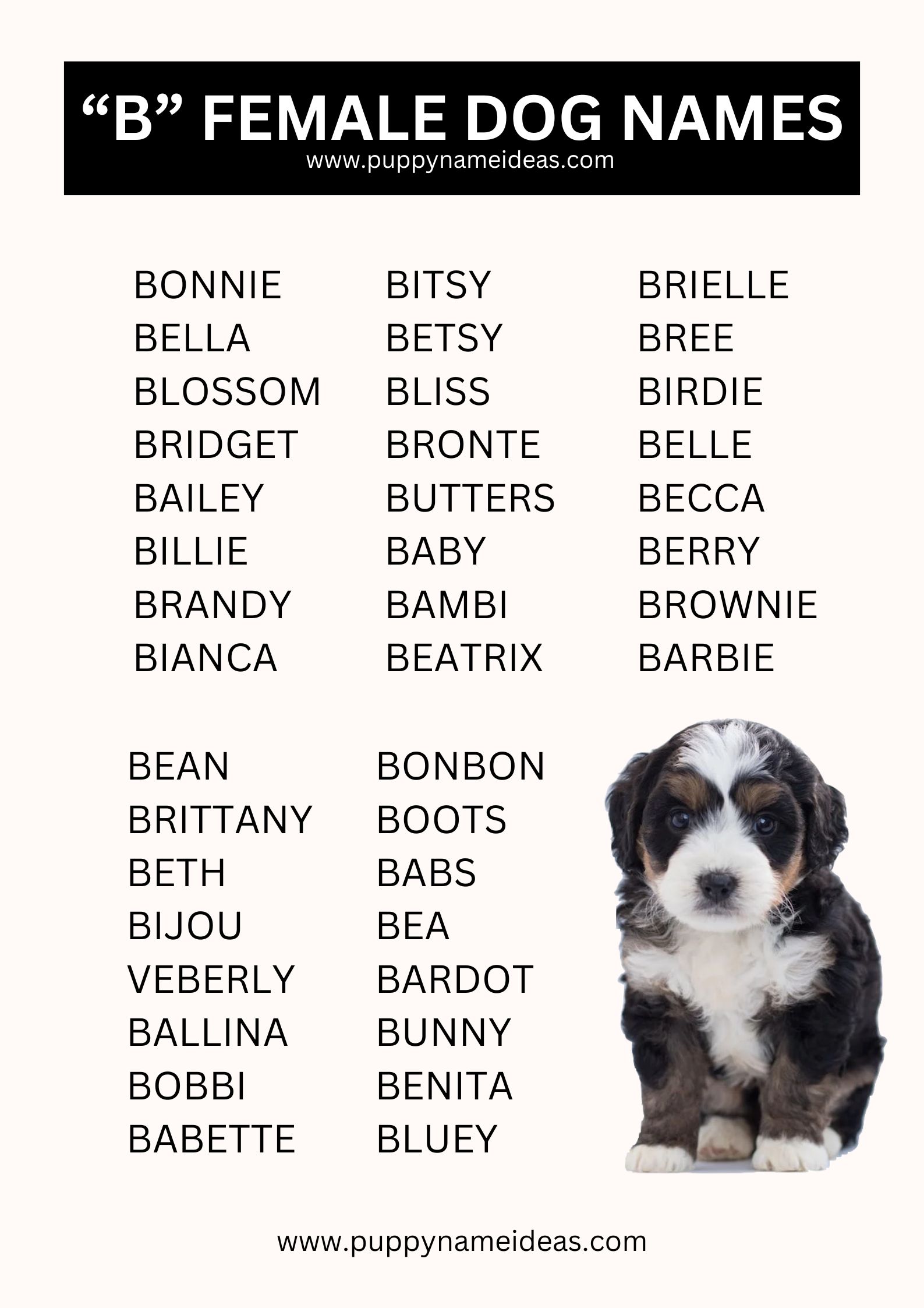 list of girl dog names that start with B

