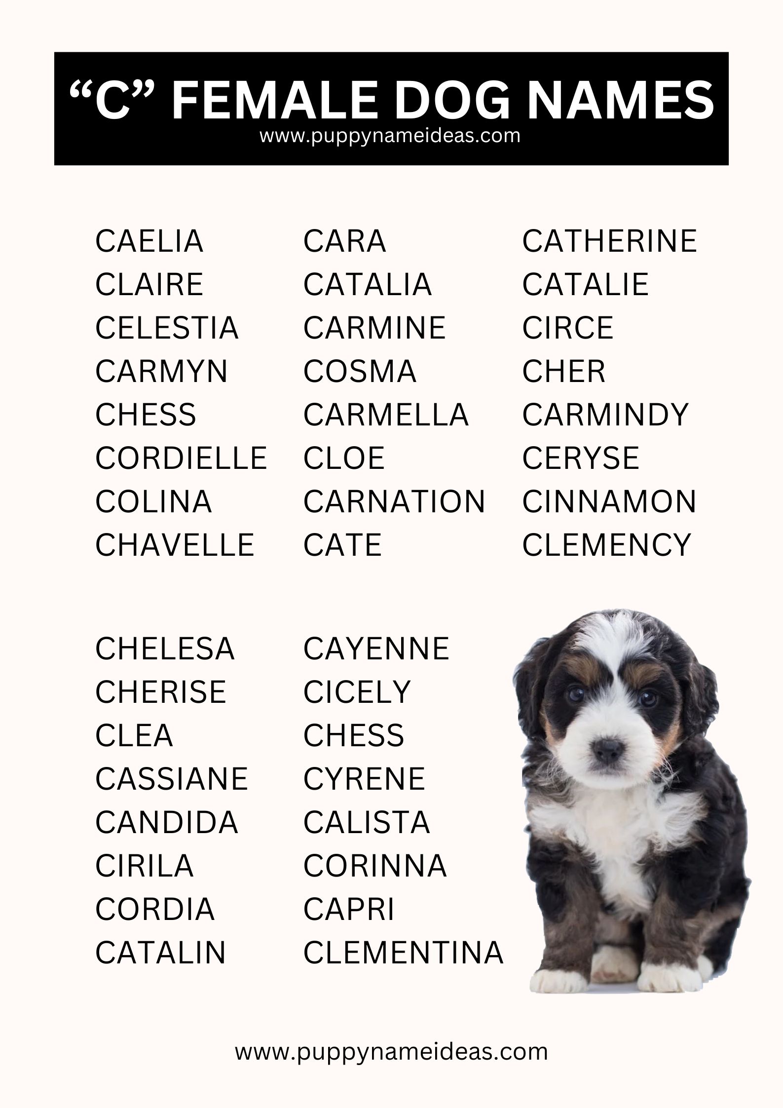 list of girl dog names that start with C