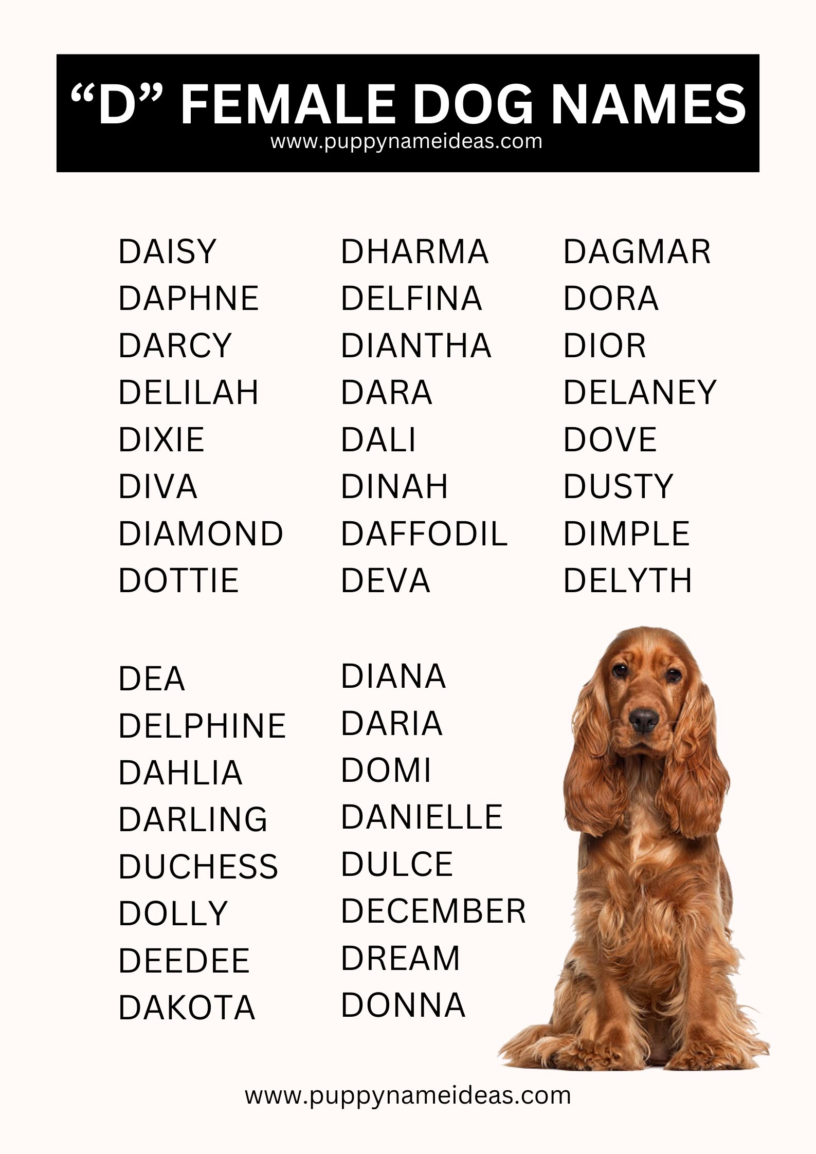 list of girl dog names that start with D