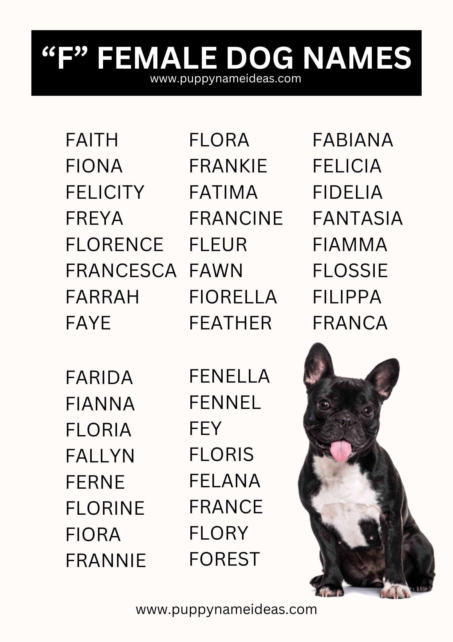 girl dog names that start with F
