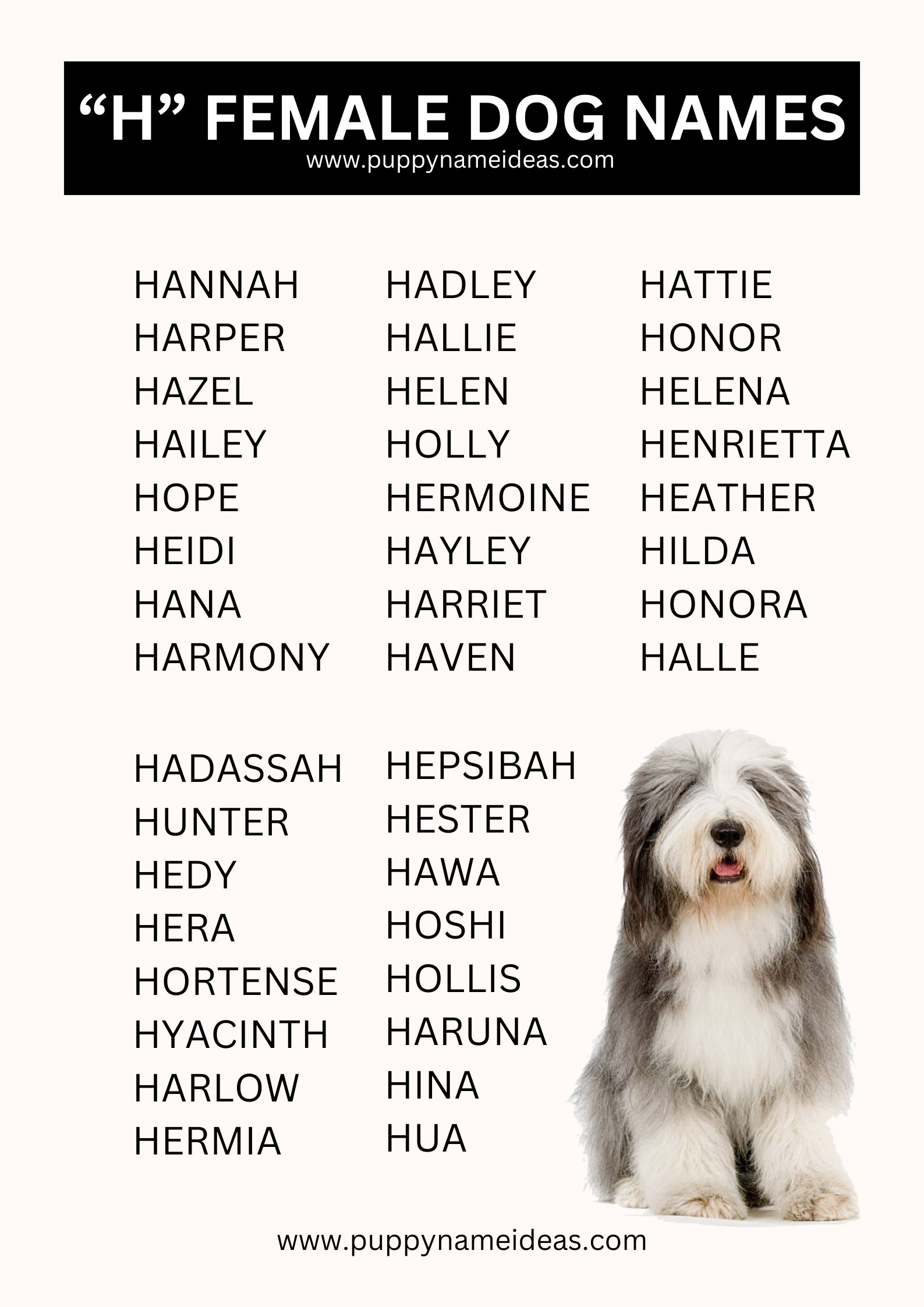 list of girl dog names that start with H