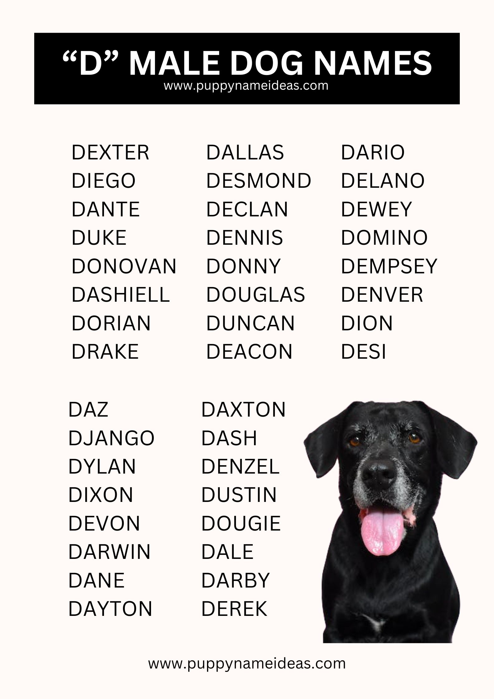 list of boy dog names that start with D