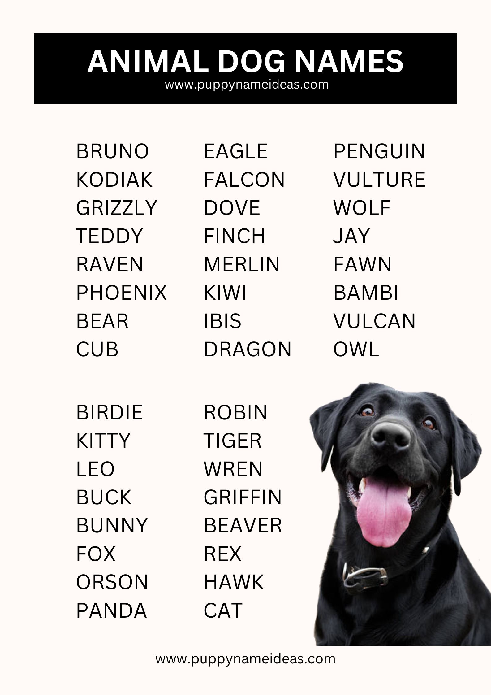 list of animal dog names