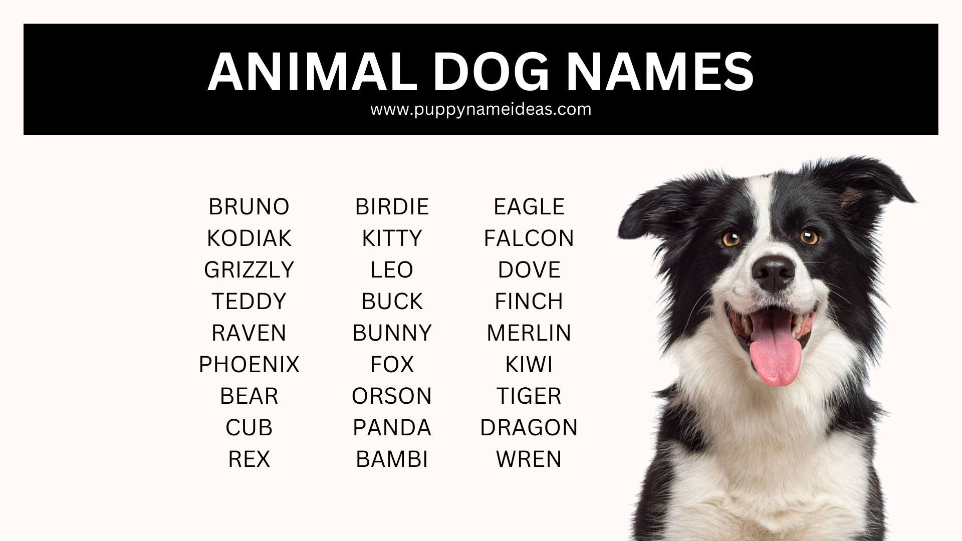 list of animal dog names