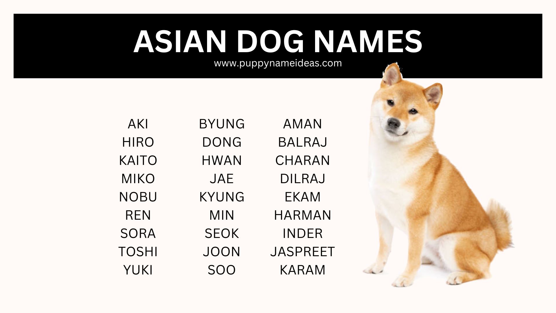 160+ Asian Dog Names (With Meanings)