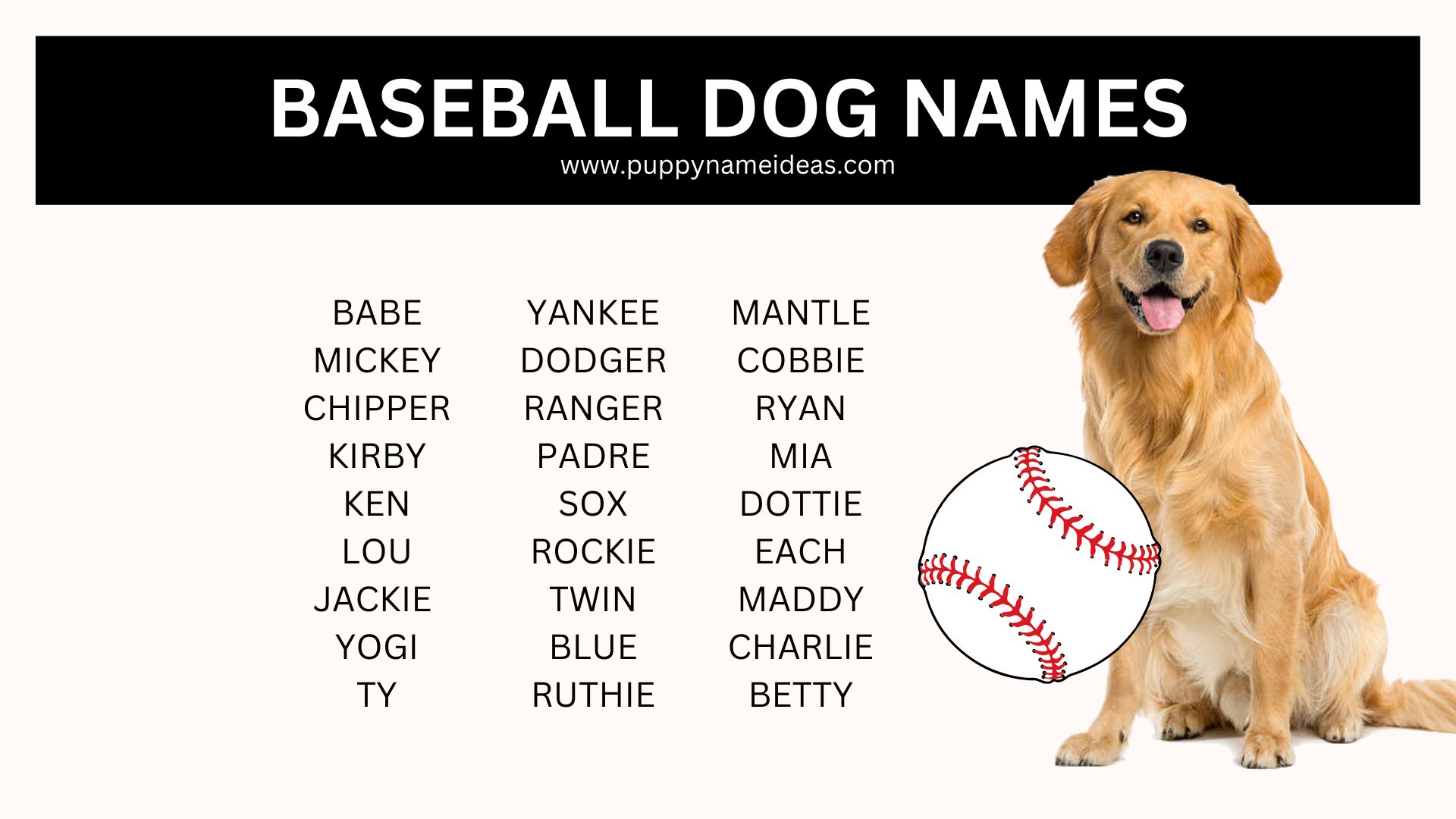 120+ Baseball Dog Names