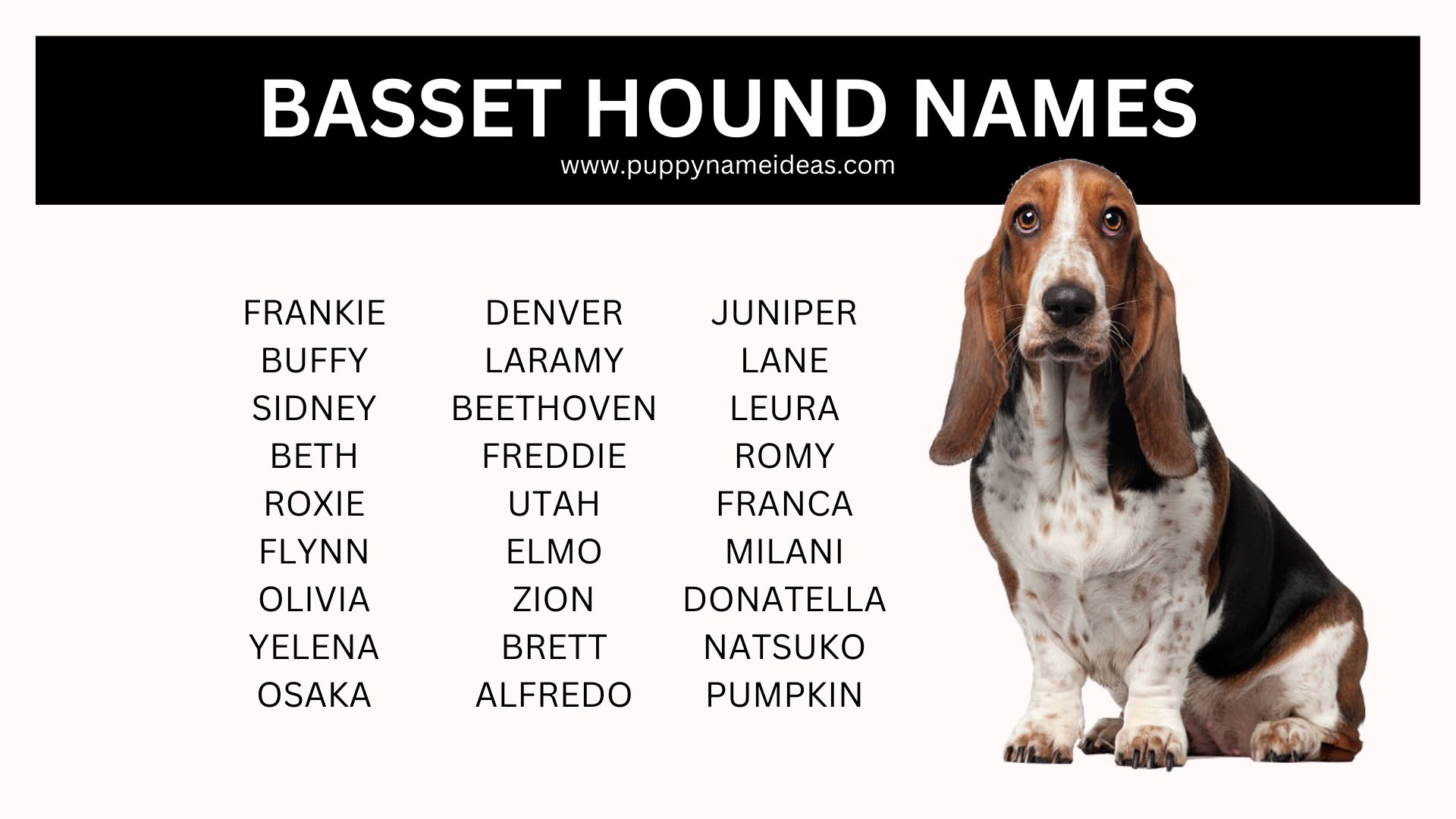 list of basset hound names