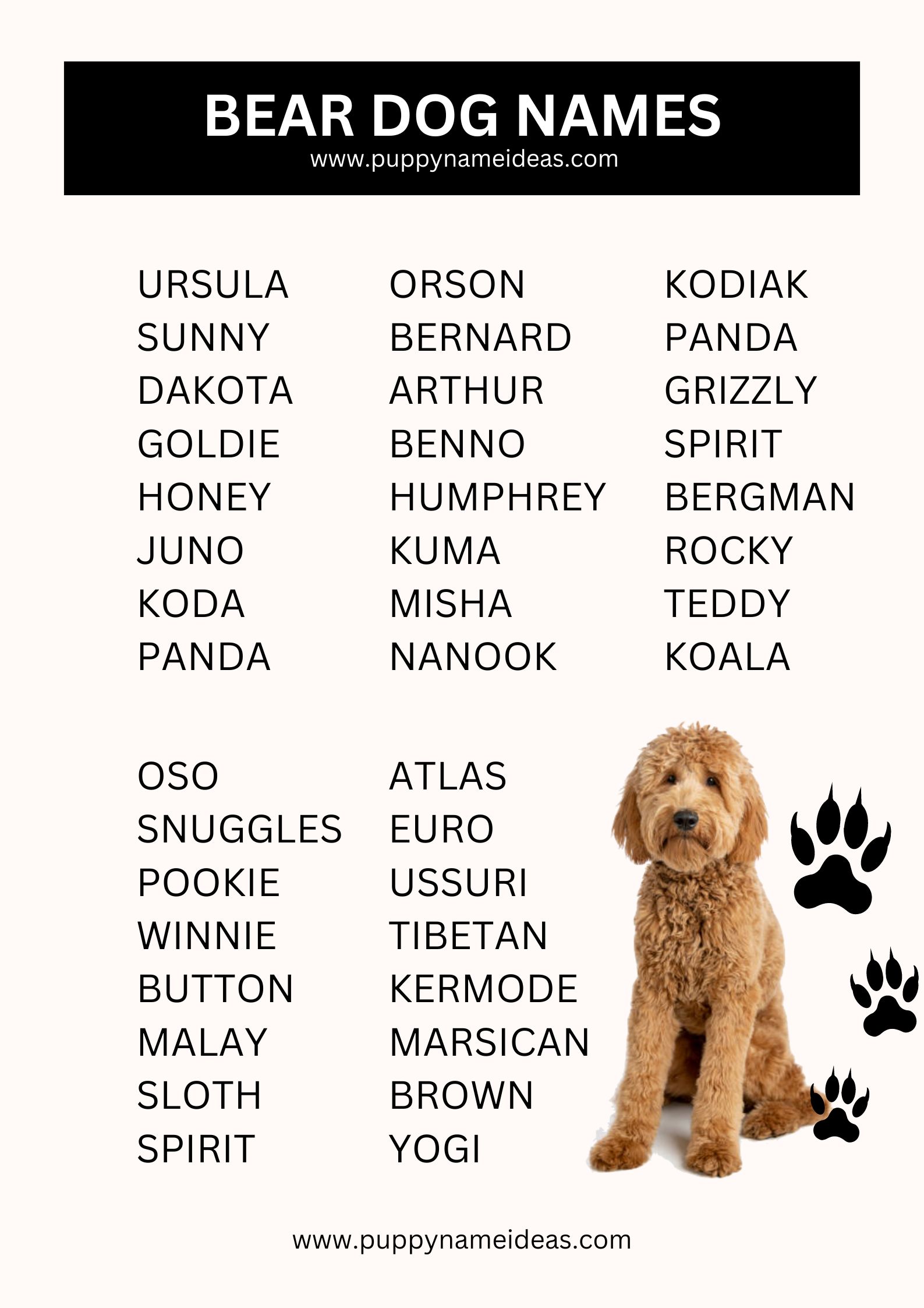 List Of Bear Dog Names
