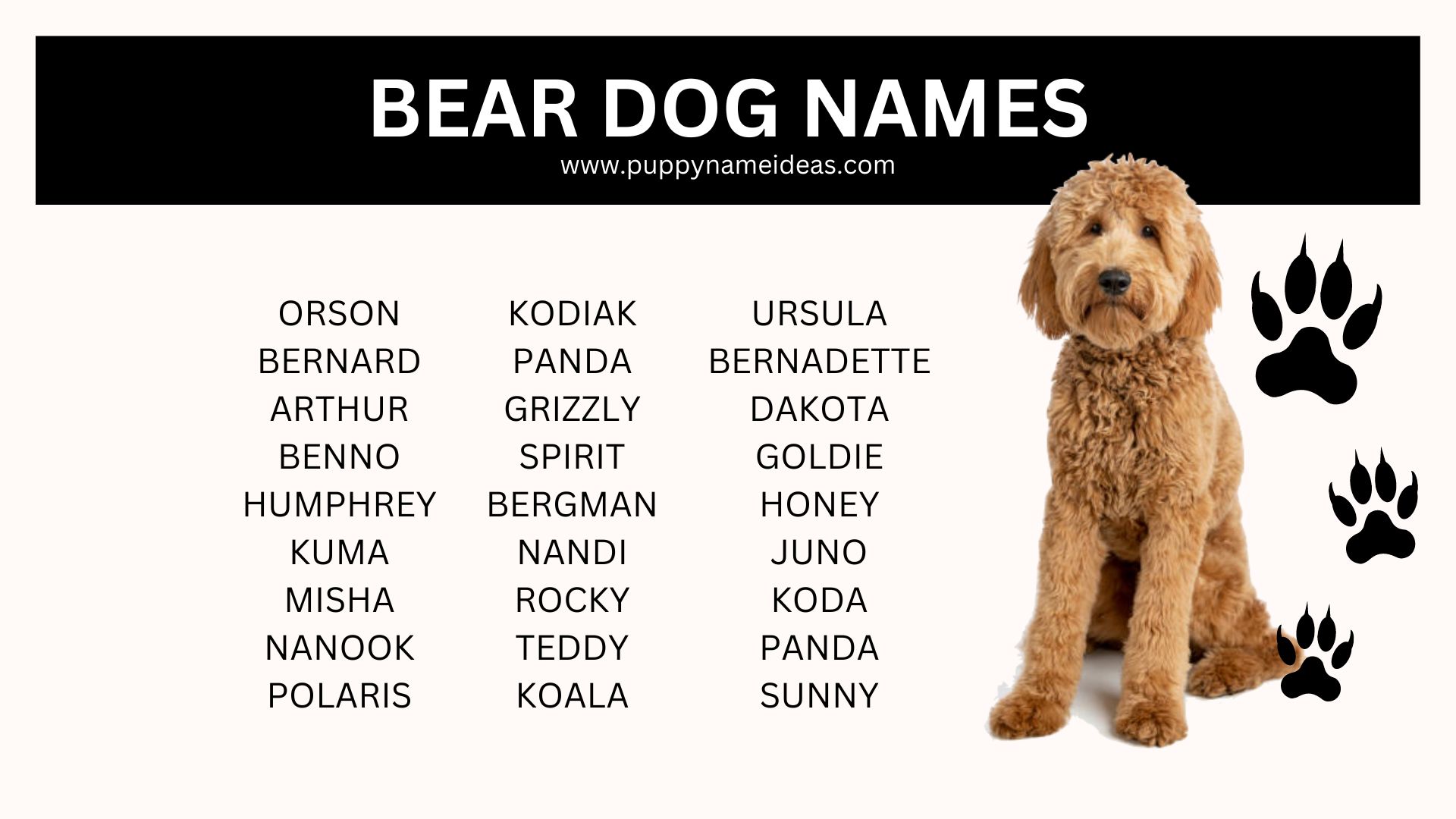 list of bear dog names