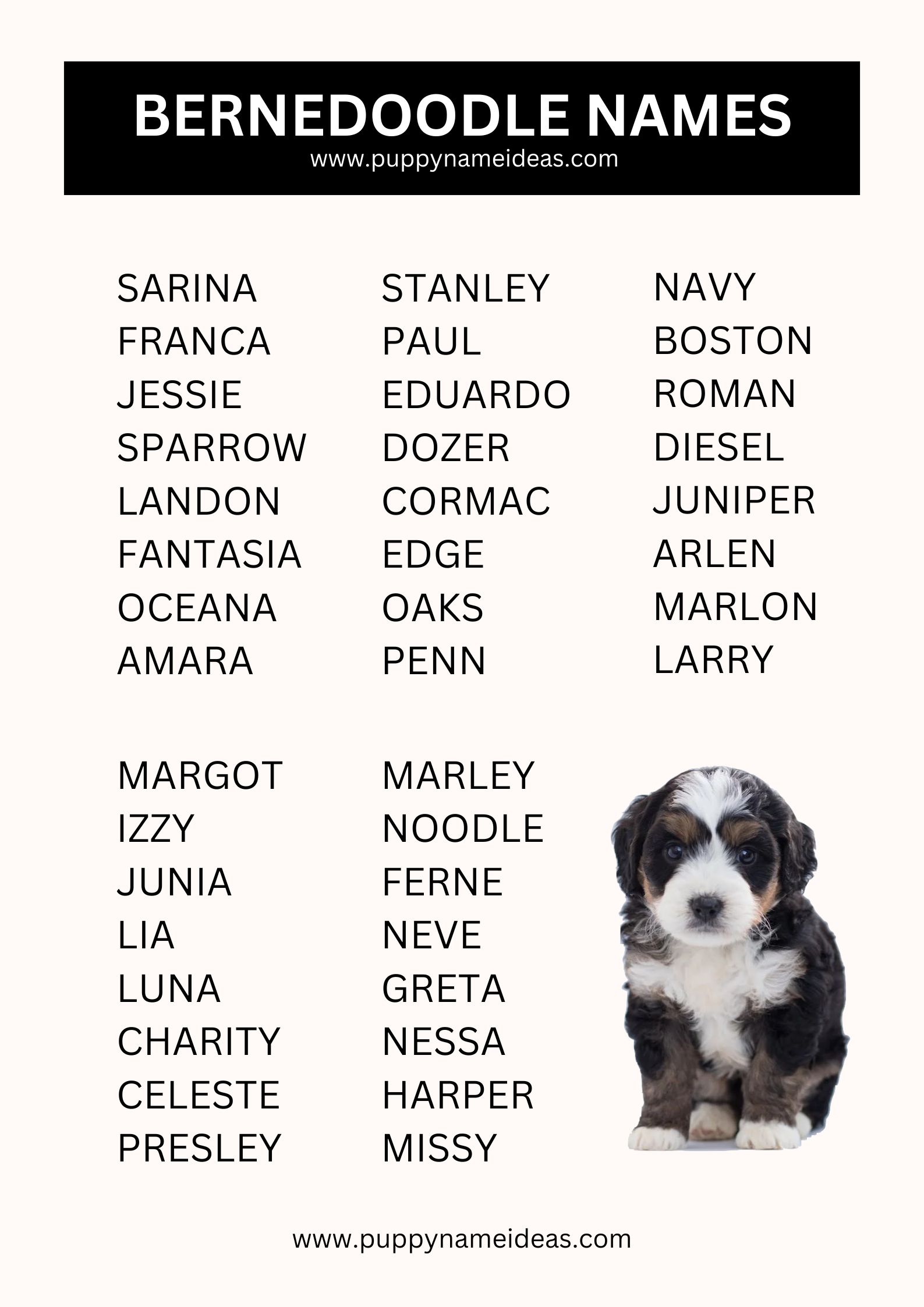 List Of Bernedoodle Names