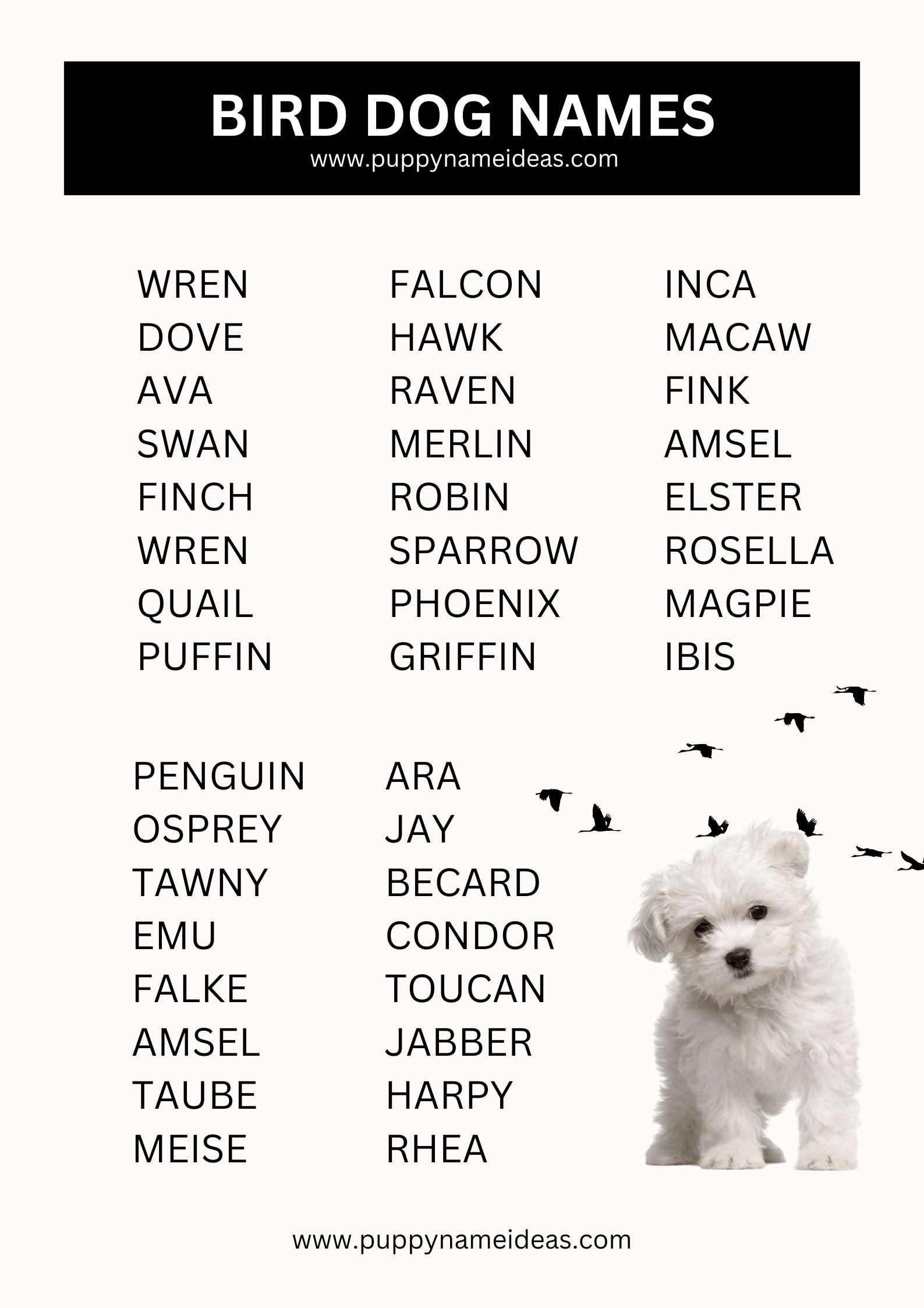 List Of Bird Dog Names
