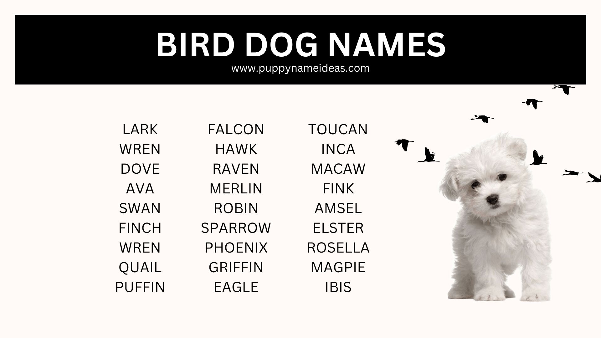list of bird dog names